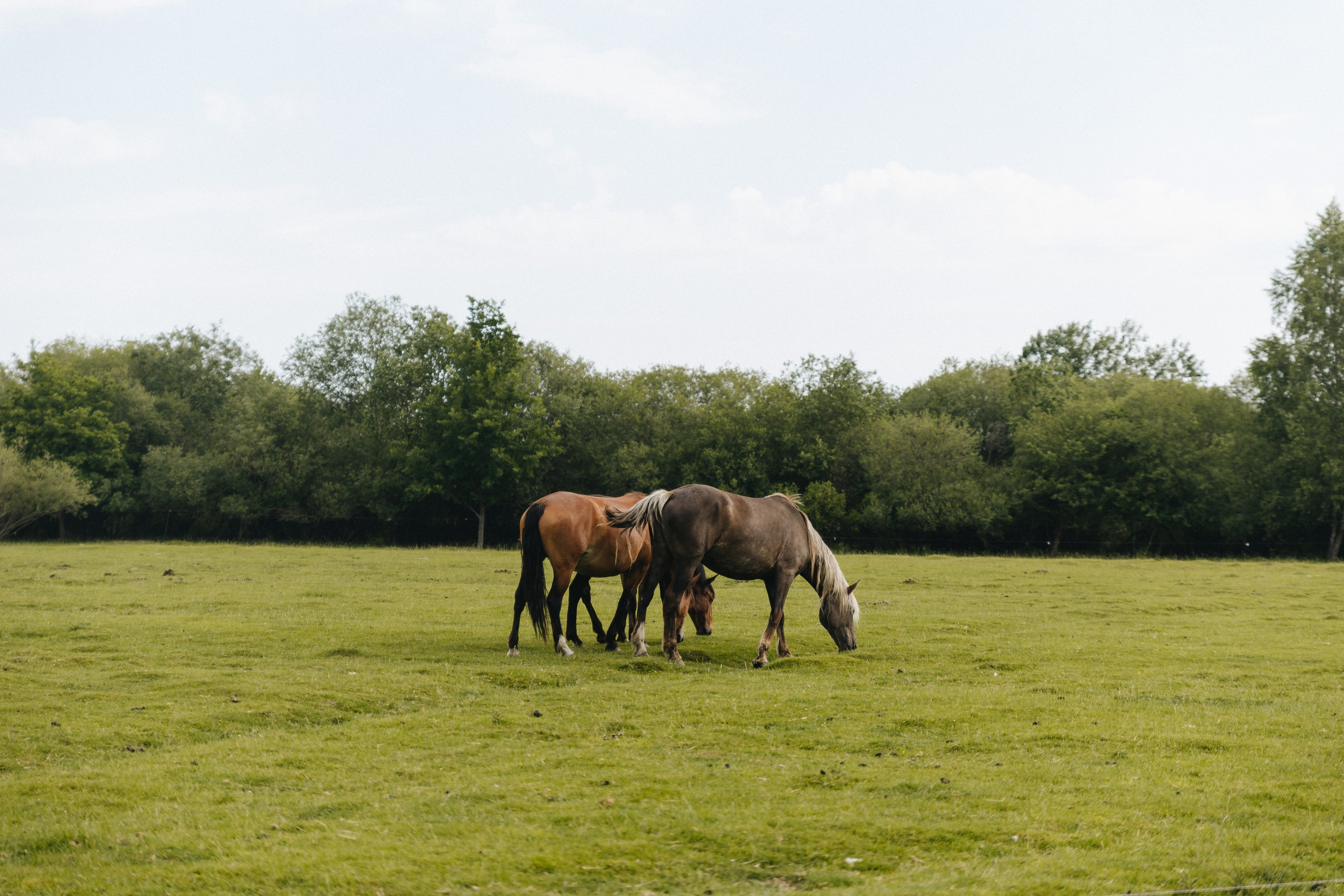 Тур — девичник LEF.TRAVEL.CLUB. KRIS KRUPINNIKOVA