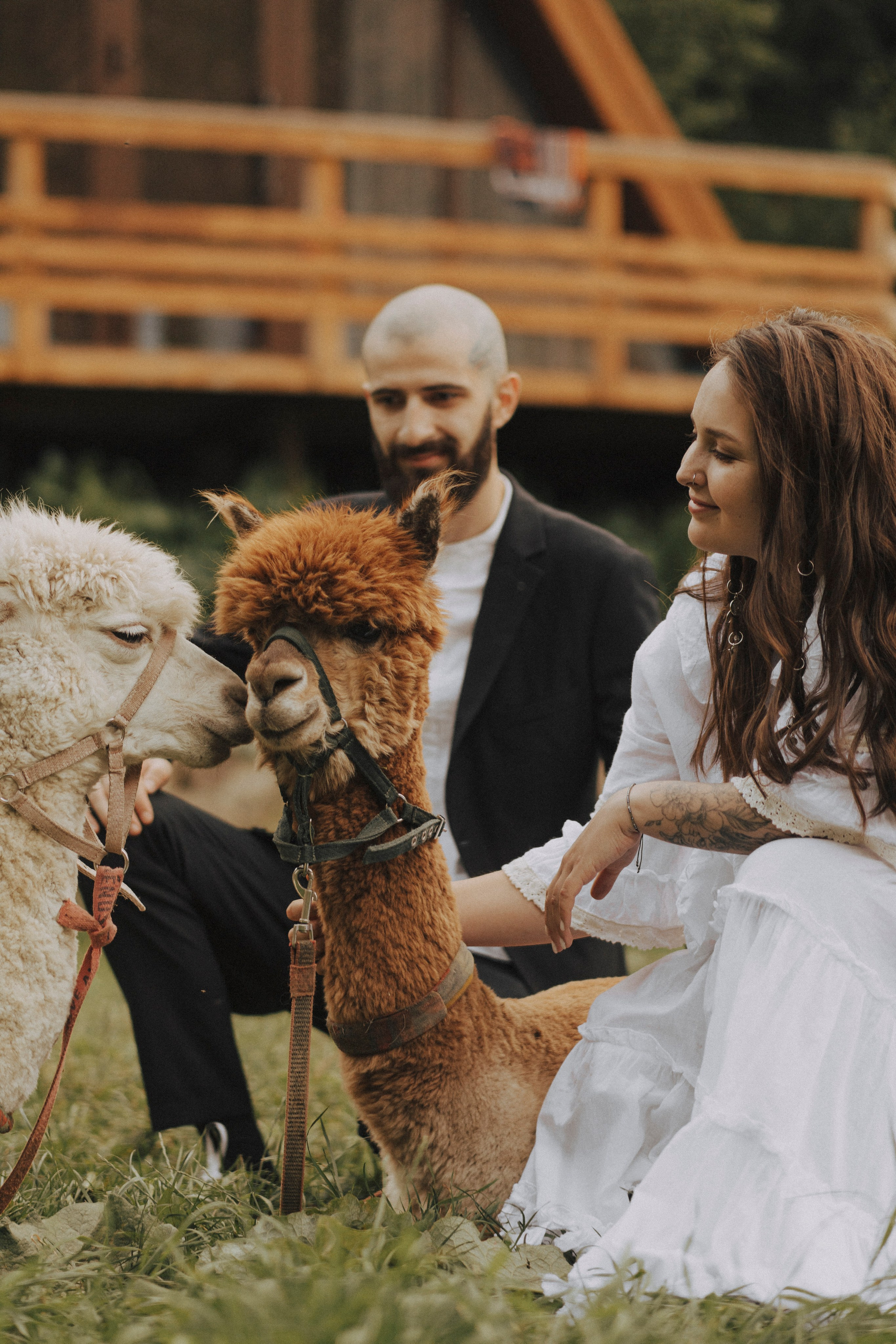 TIGRAN & VICTORIA | KISLOVODSK. Фотограф Настя Конник | Пятигорск | Эльбрус | Домбай | Архыз