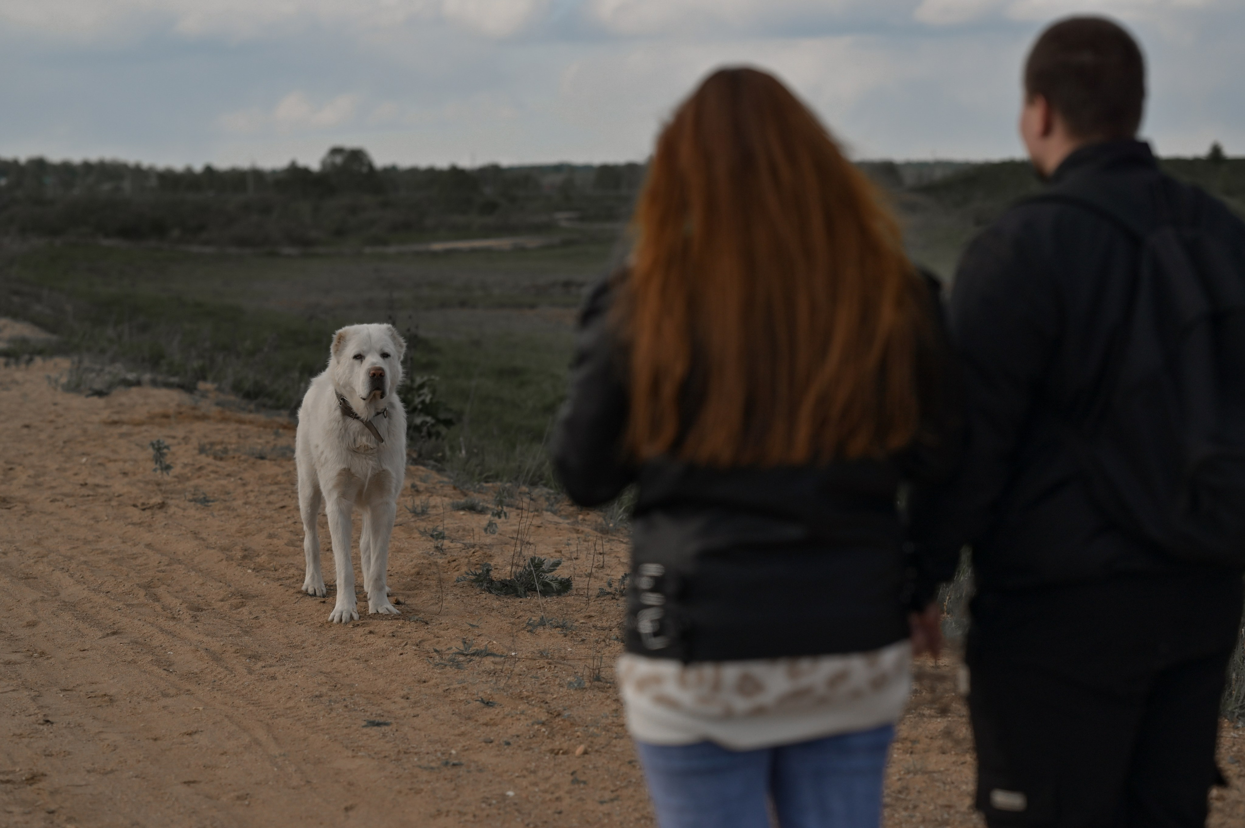 Дмитрий&Анастасия. Семейный и репортажный фотограф в Москве Анастасия Трубкина