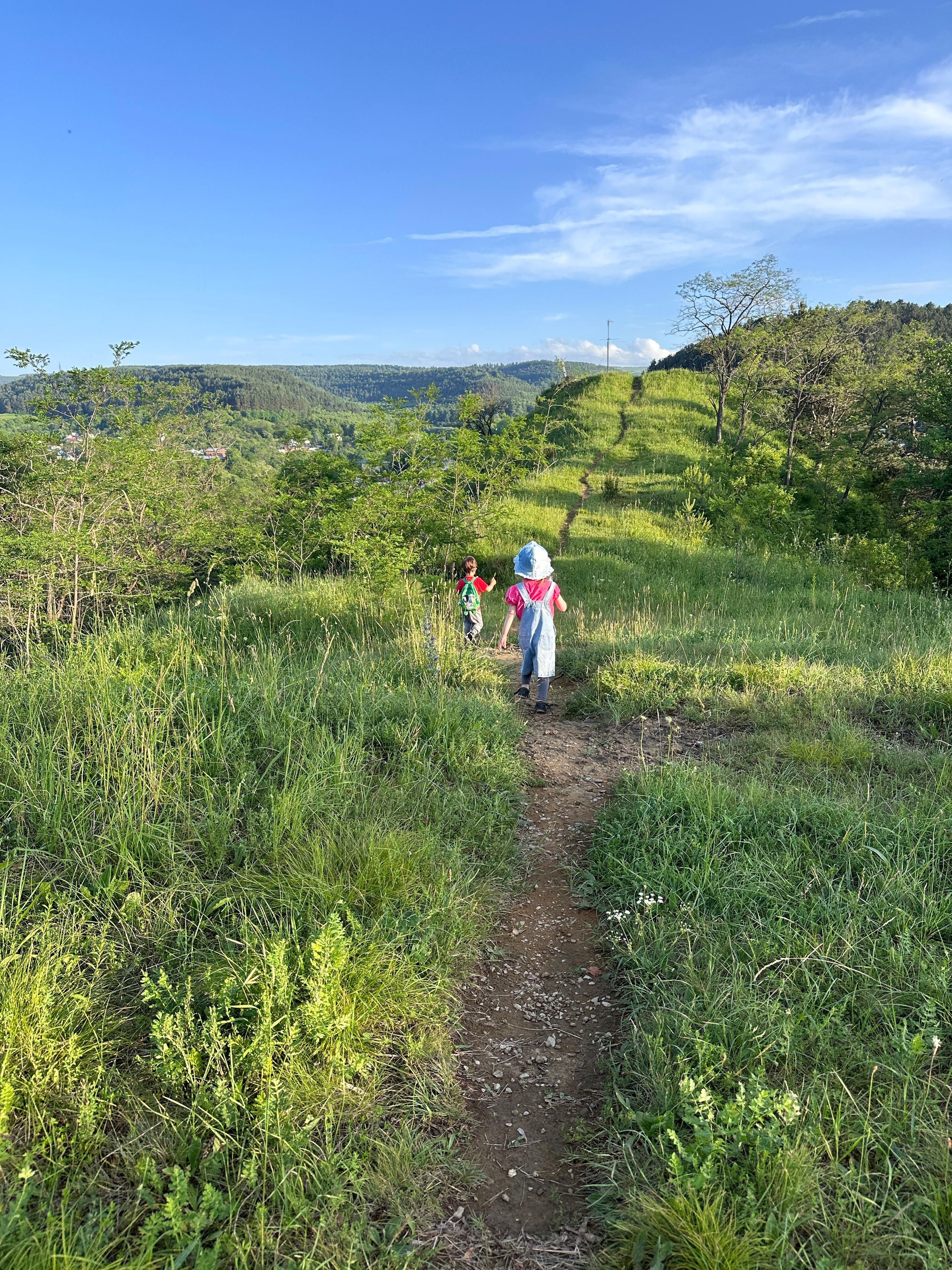 Дети. Смотри, красота!
