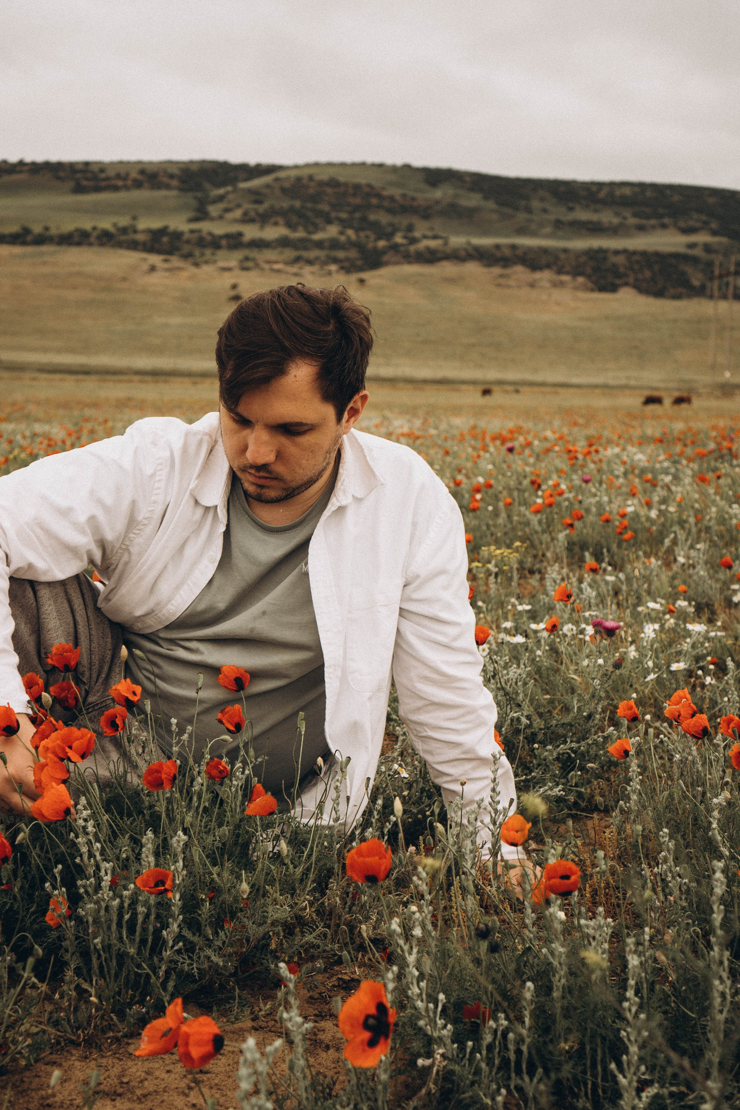 Маки. Профессиональный фотограф, Санкт-Петербург — Виктория Богомолова