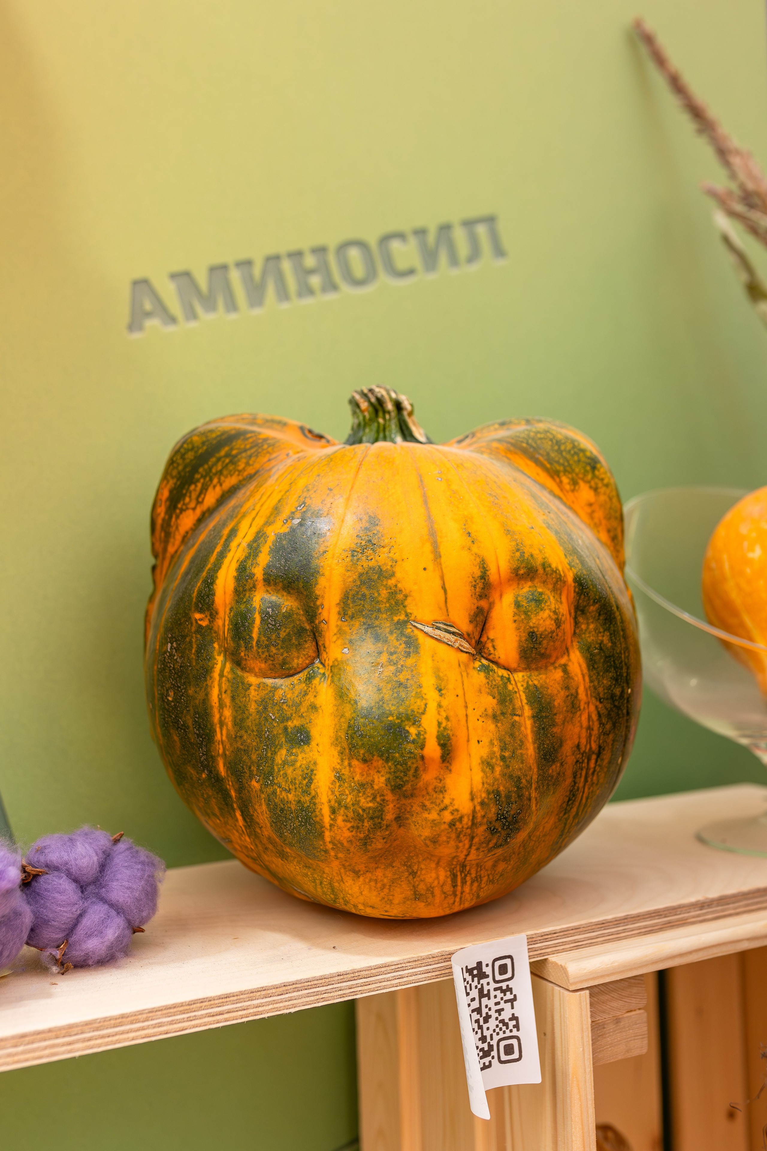 Овощи-гиганты. Александра Куликова фотограф, Москва