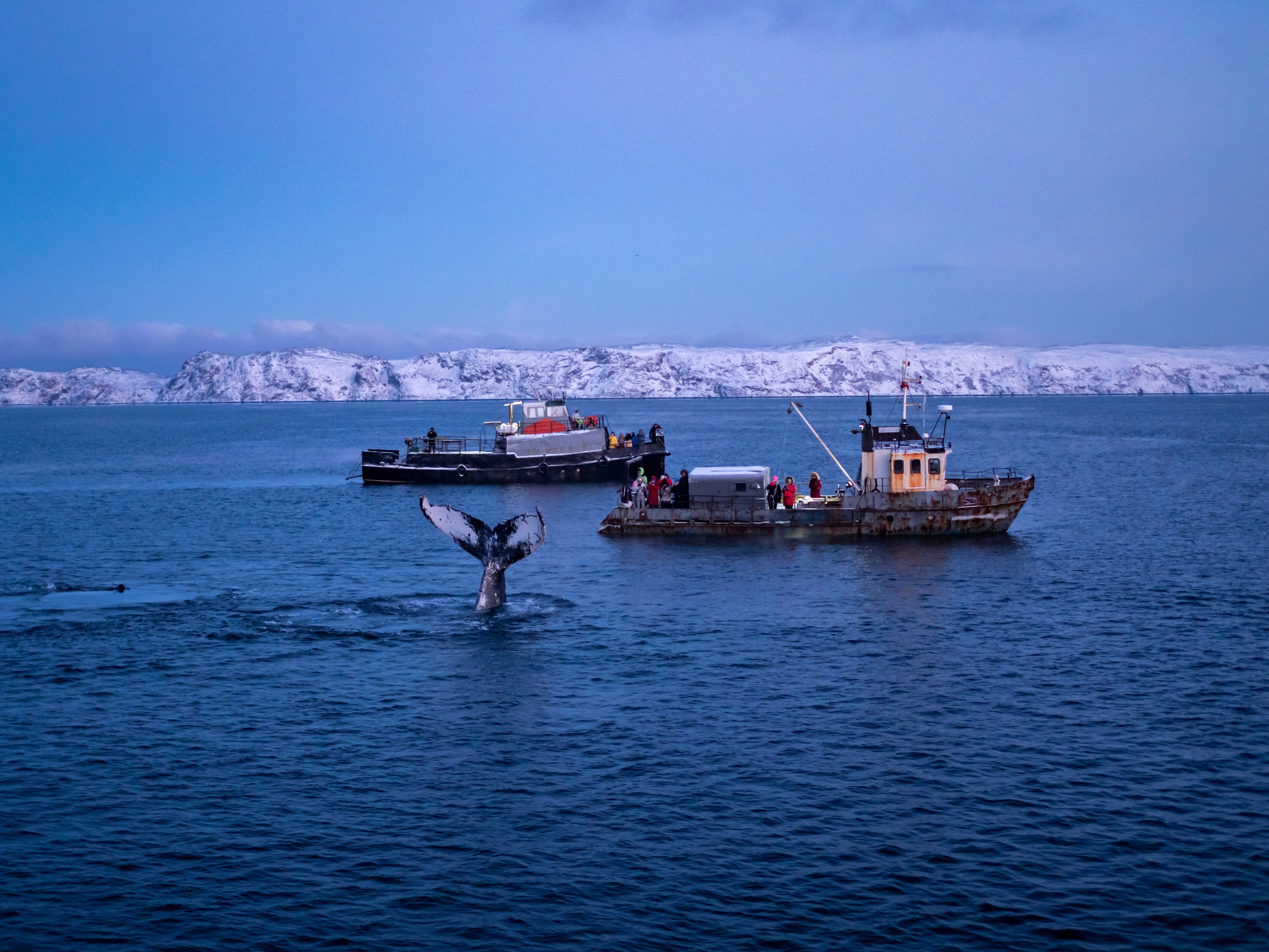 Мурманск. Фотограф Александр Головин