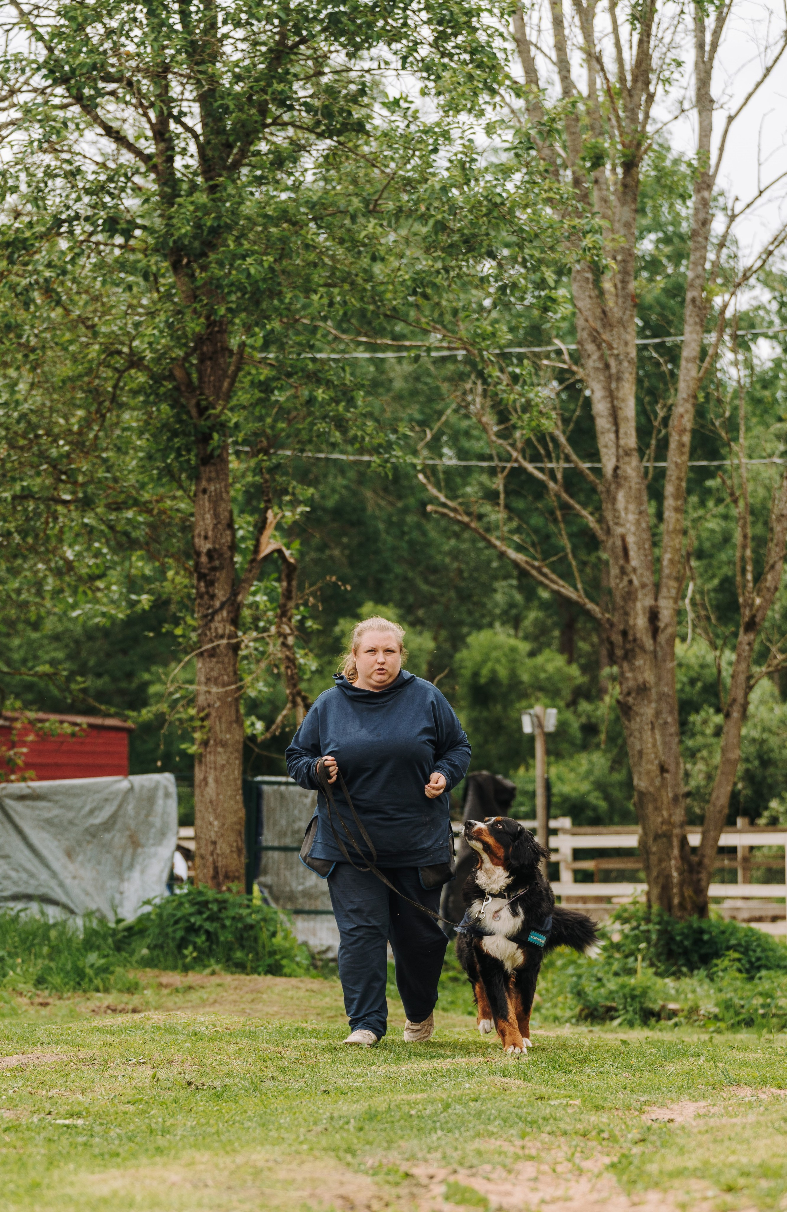 Соревнования по ноузворку. Фотограф анималист в Спб недорого Олеся Майорова