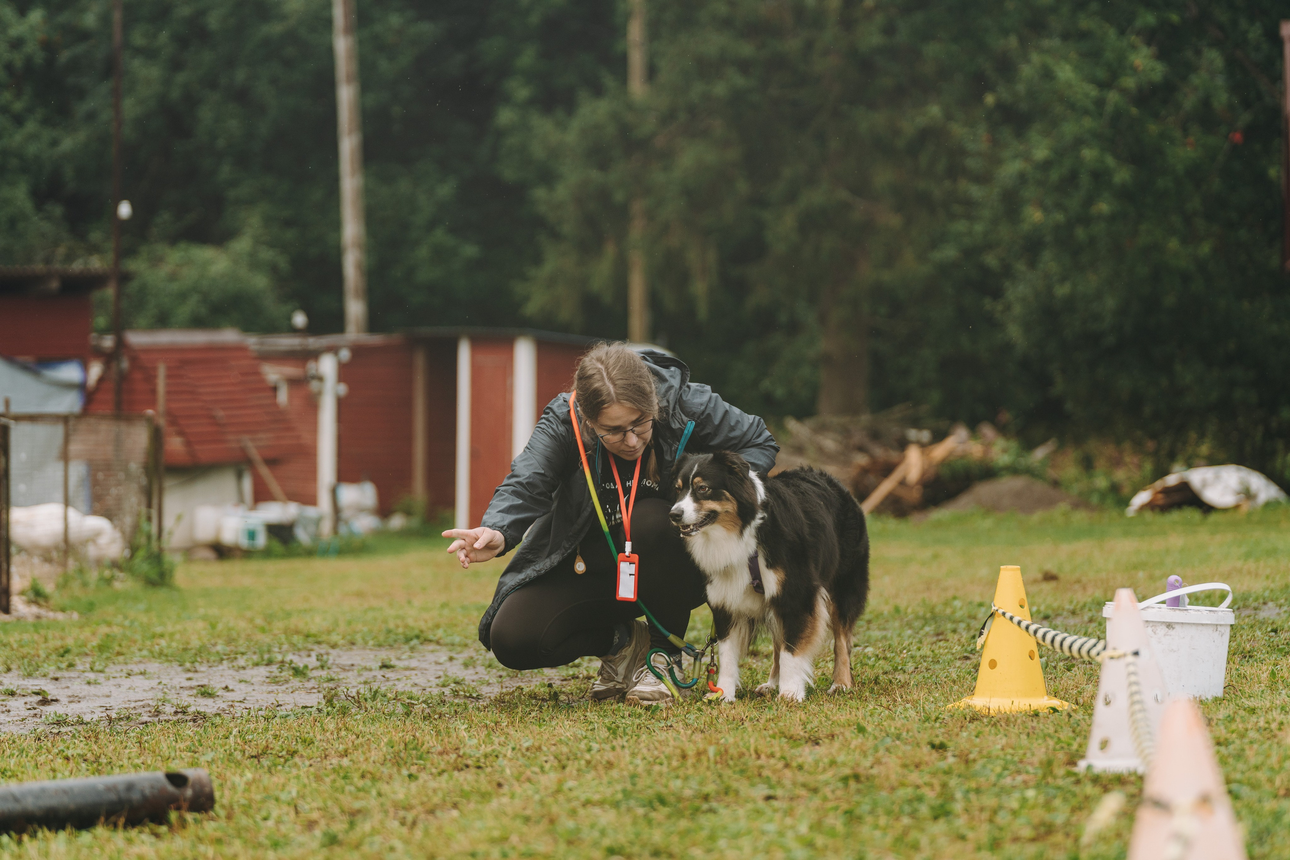 Соревнования по ноузворку в Новожилово. Фотограф анималист в Спб недорого Олеся Майорова