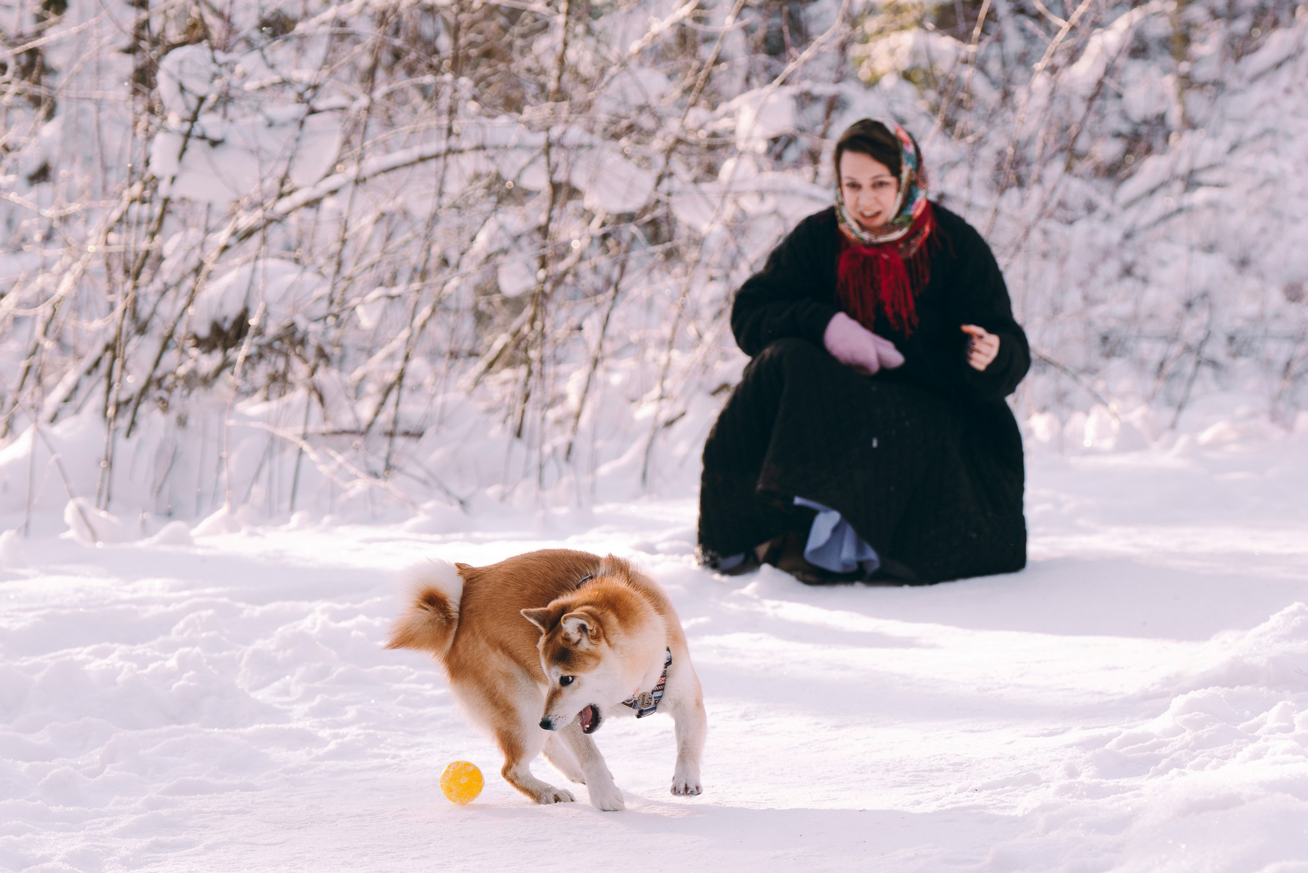 Каори, Анна и Антон. Фотограф анималист в Спб недорого Олеся Майорова