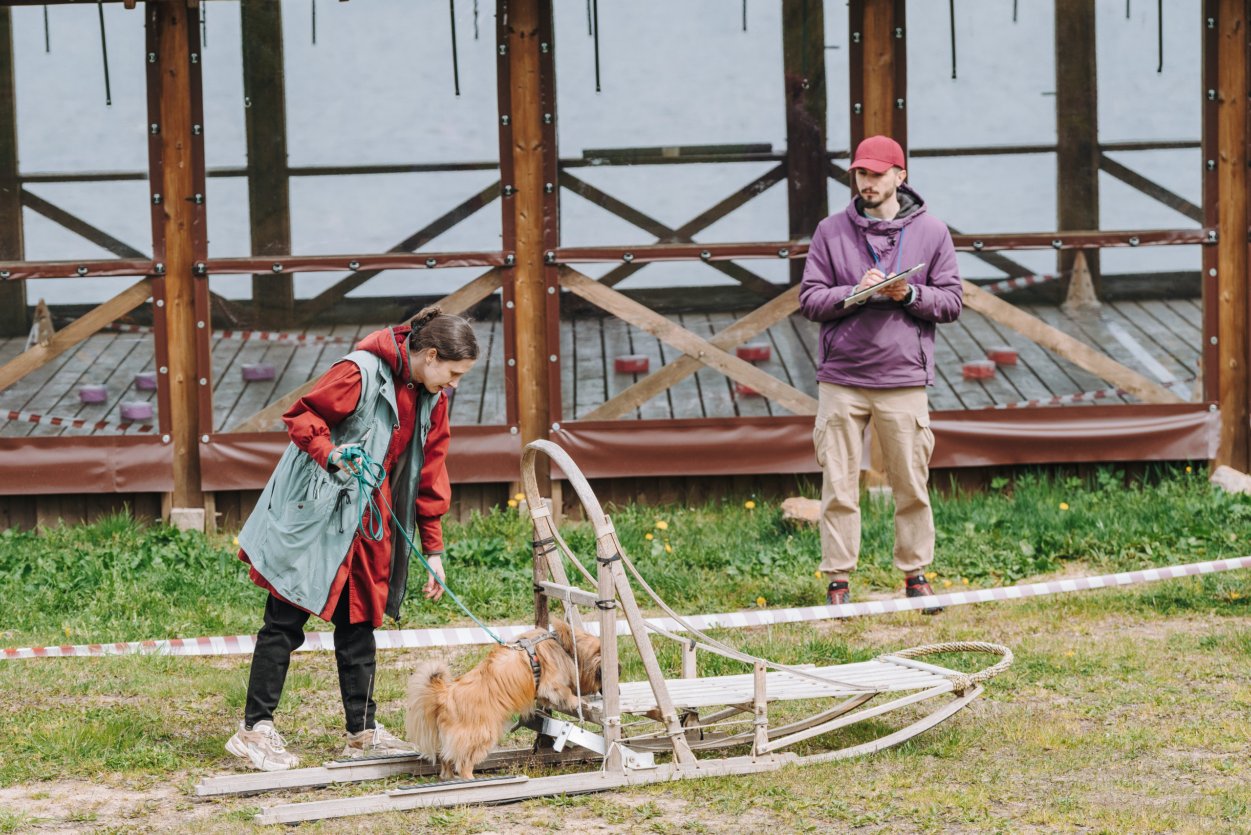 Соревнования по ноузворку в Лосево. Фотограф анималист в Спб недорого Олеся Майорова
