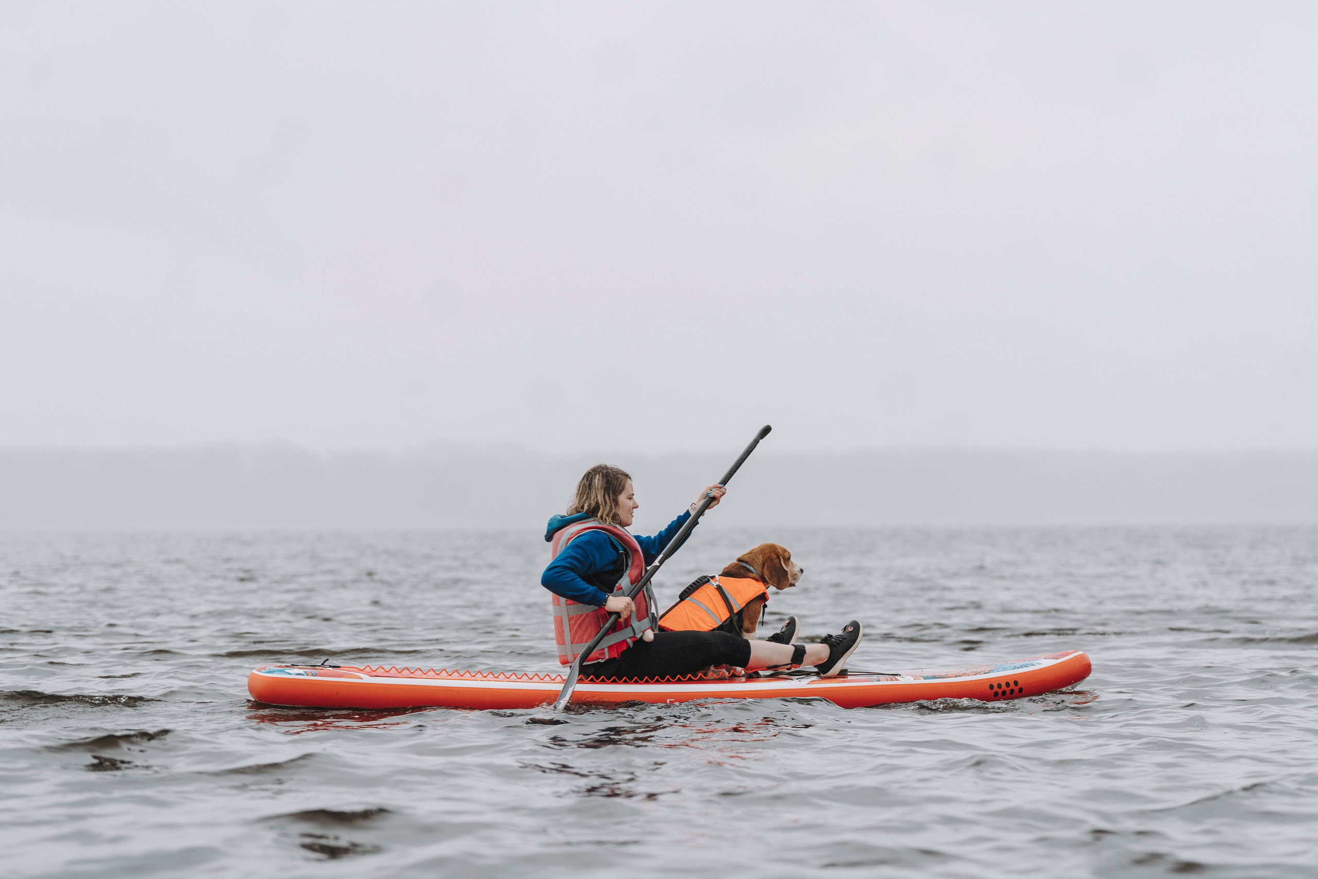 Катание на сапах с собаками. Фотограф анималист в Спб недорого Олеся Майорова
