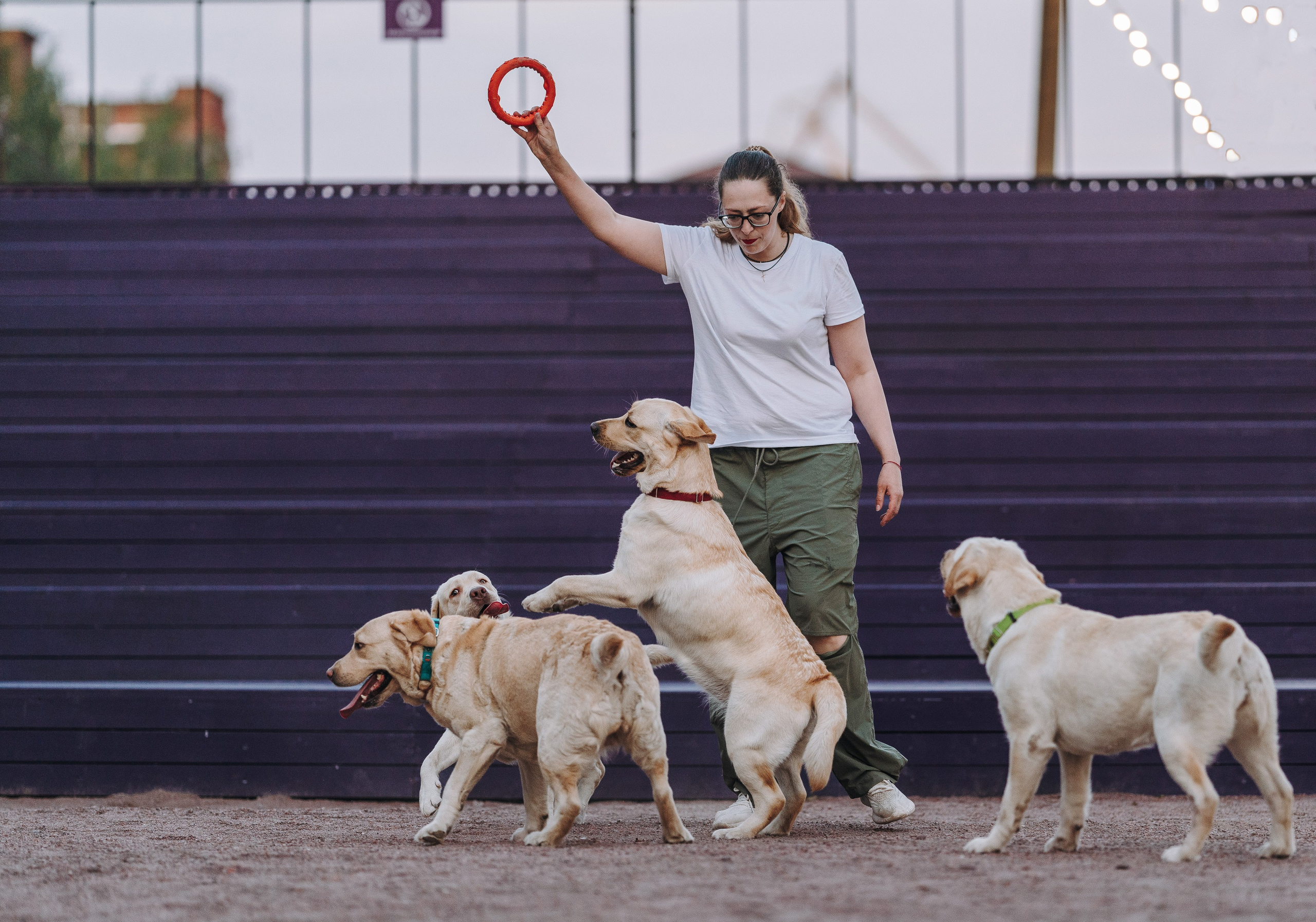 Фотосъёмка с вашими питомцами. Фотограф анималист в Спб недорого Олеся Майорова