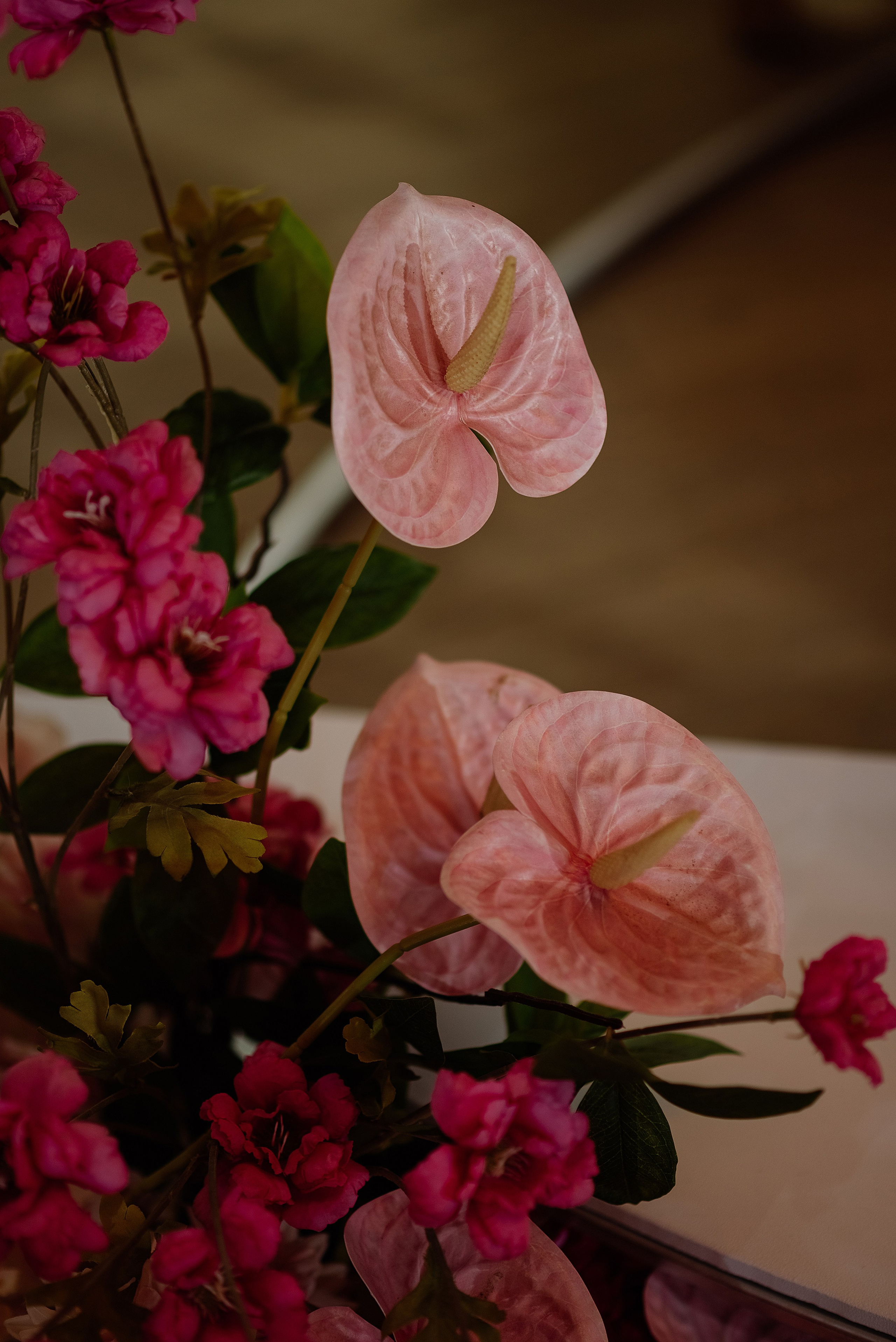 Даня и Саша. Свадебный и семейный фотограф в Ростове-на-Дону Алина Астахова