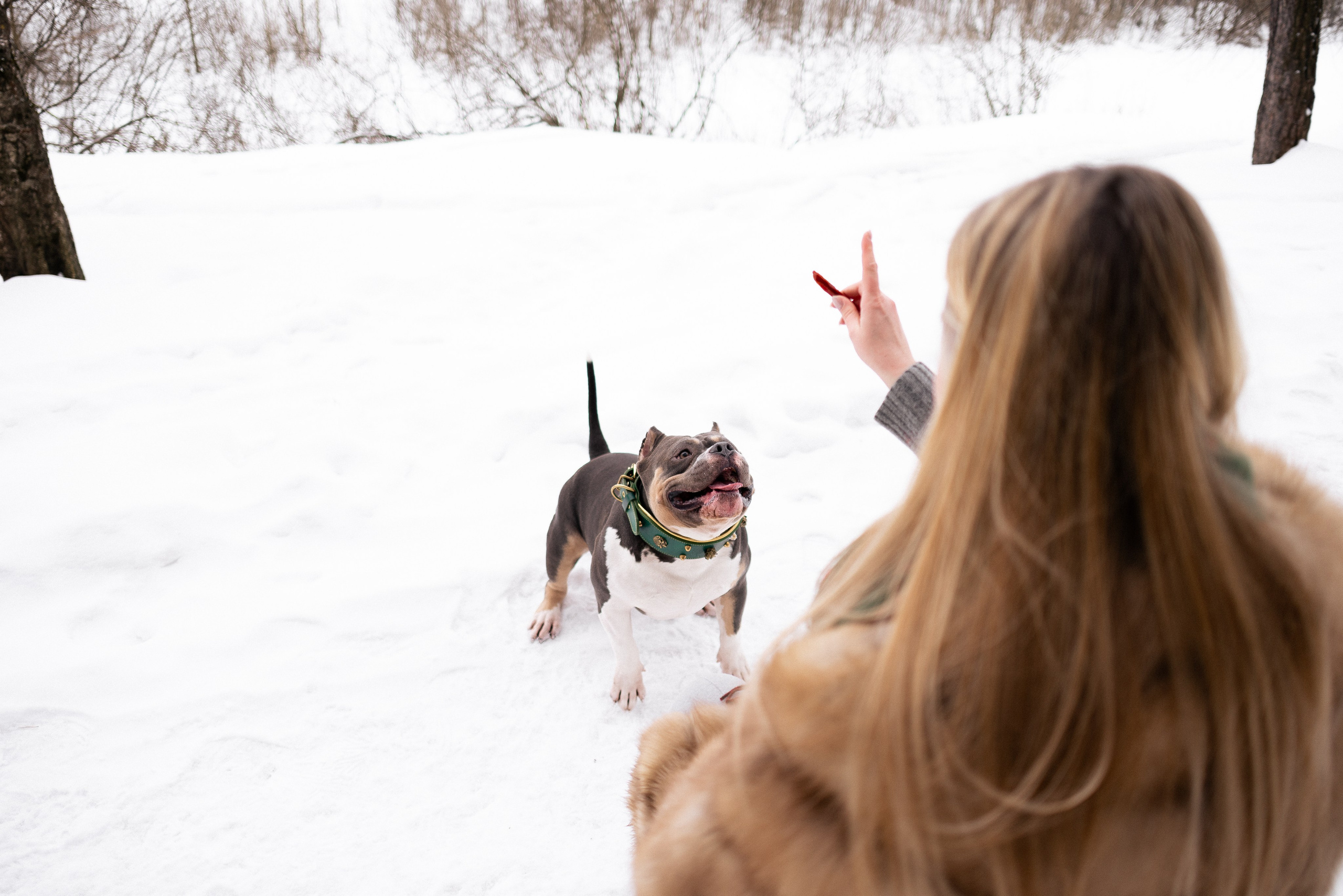 Лера и Наган. Фотограф и видеограф анималист Аганина Дарья