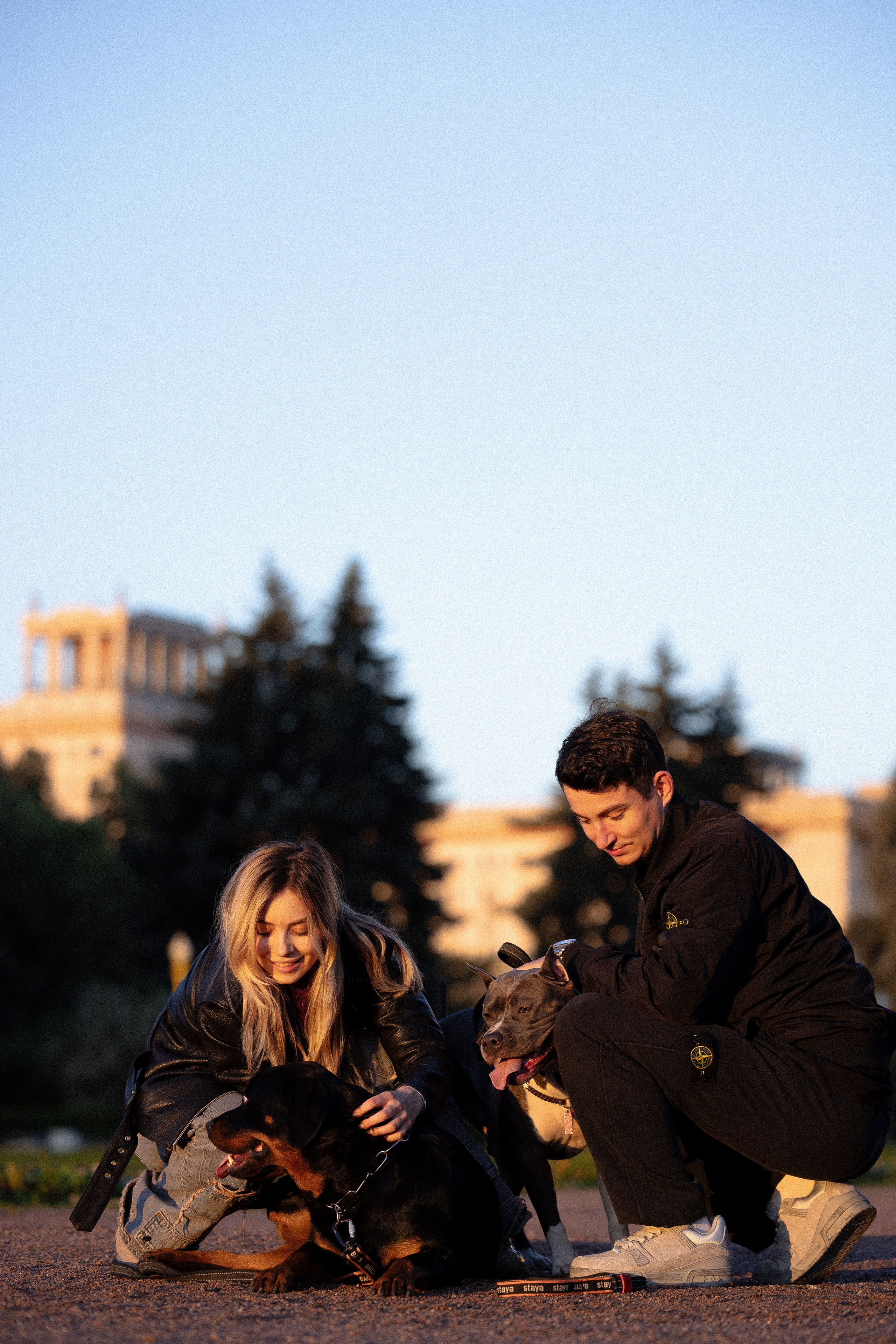 Катя, Леша, Лея и Трой. Фотограф и видеограф анималист Аганина Дарья
