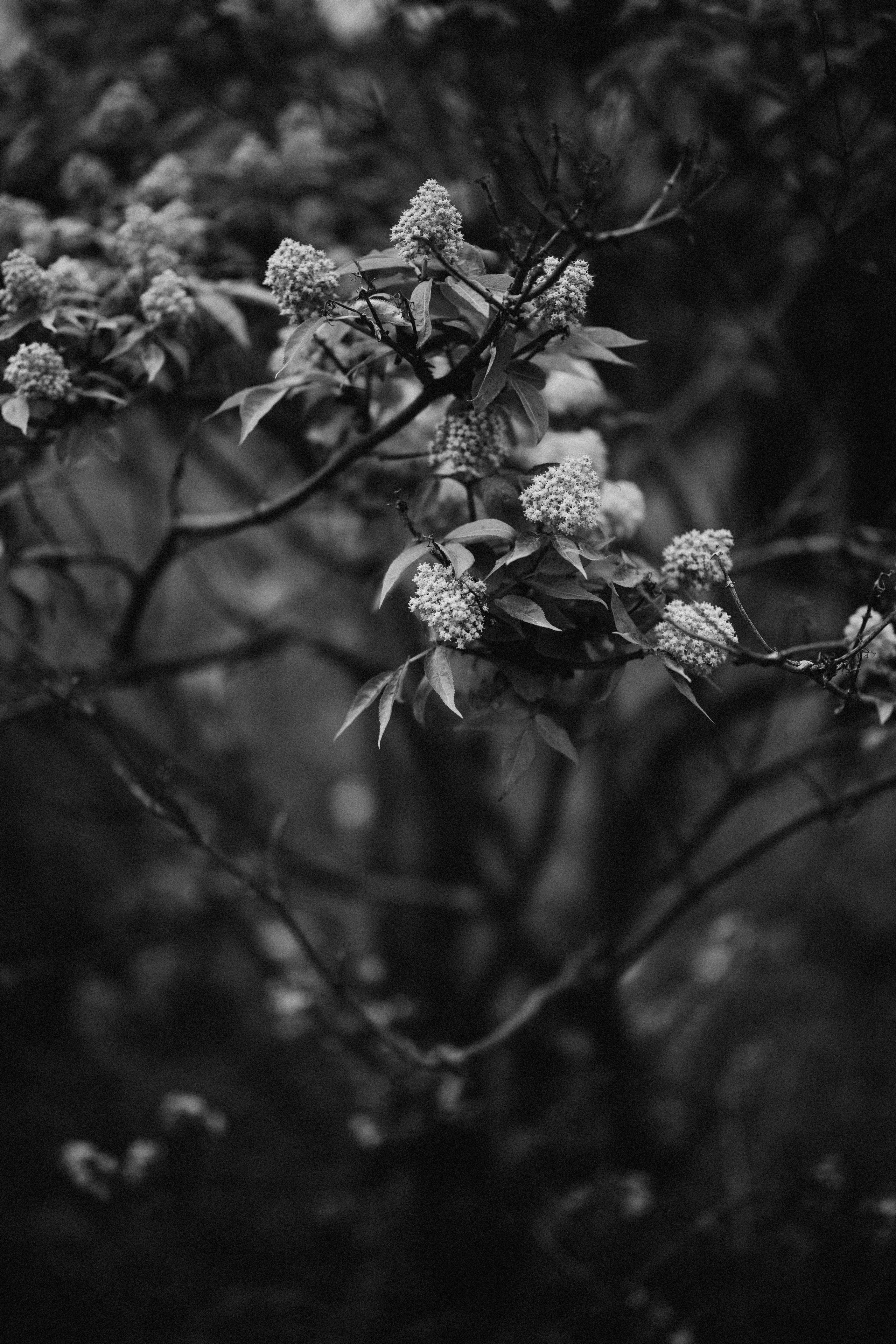 Даша. Daria Chigintseva Photographer