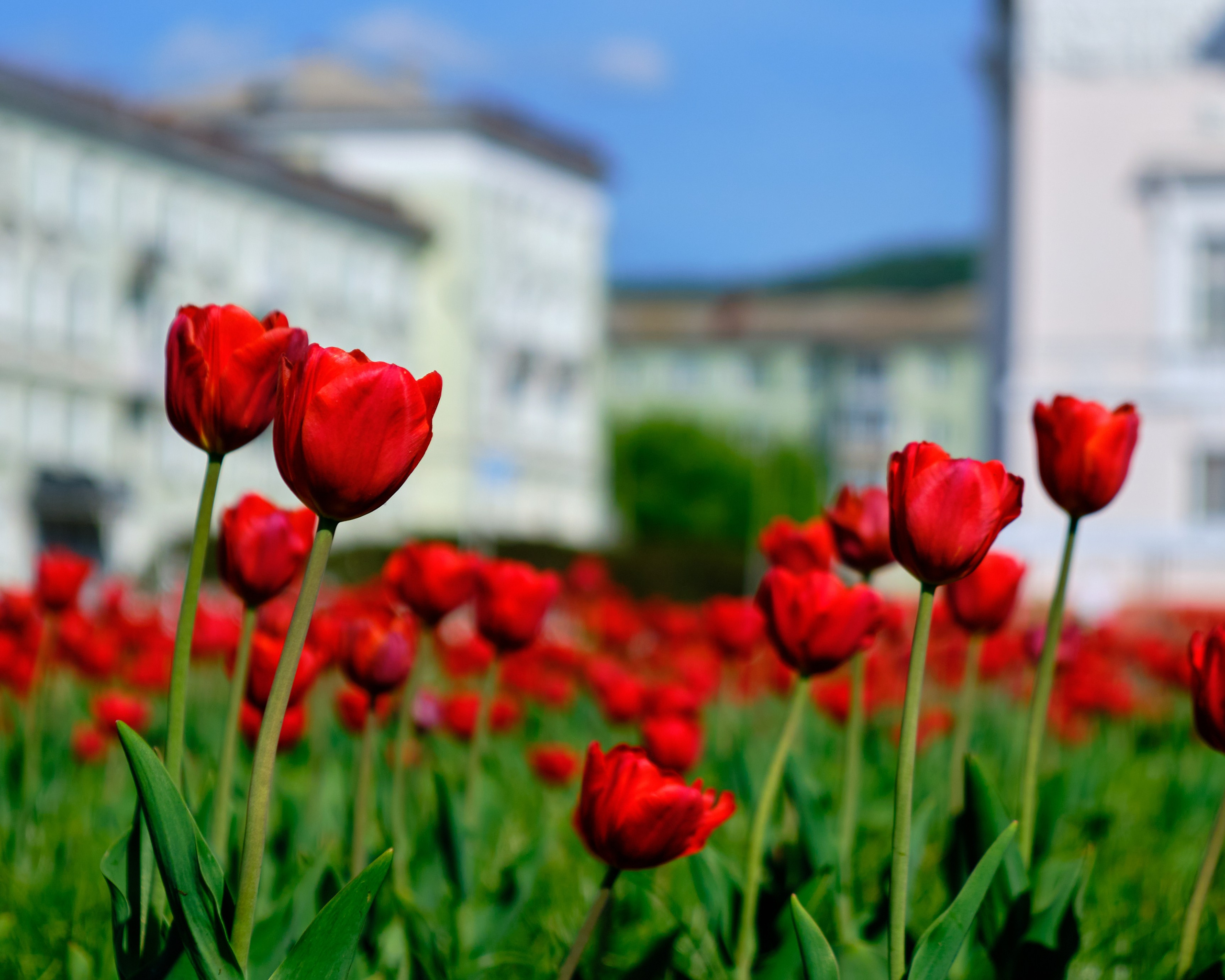 Nature. GubanovPhoto