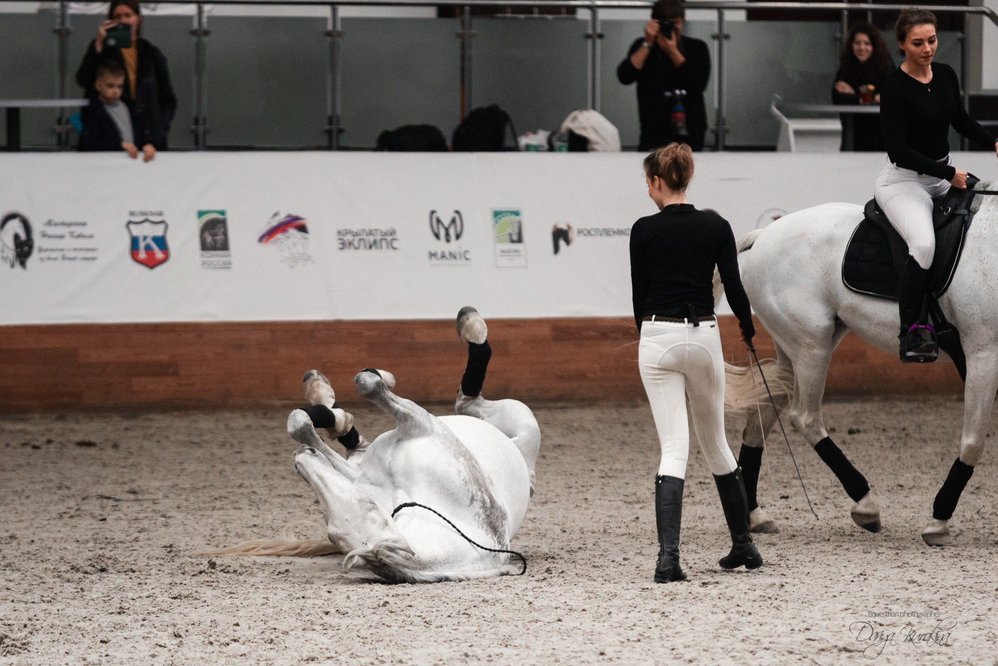 8-я международная выставка Конная Россия. Конный фотограф Куракина Дарья • Фотосессии с лошадьми
