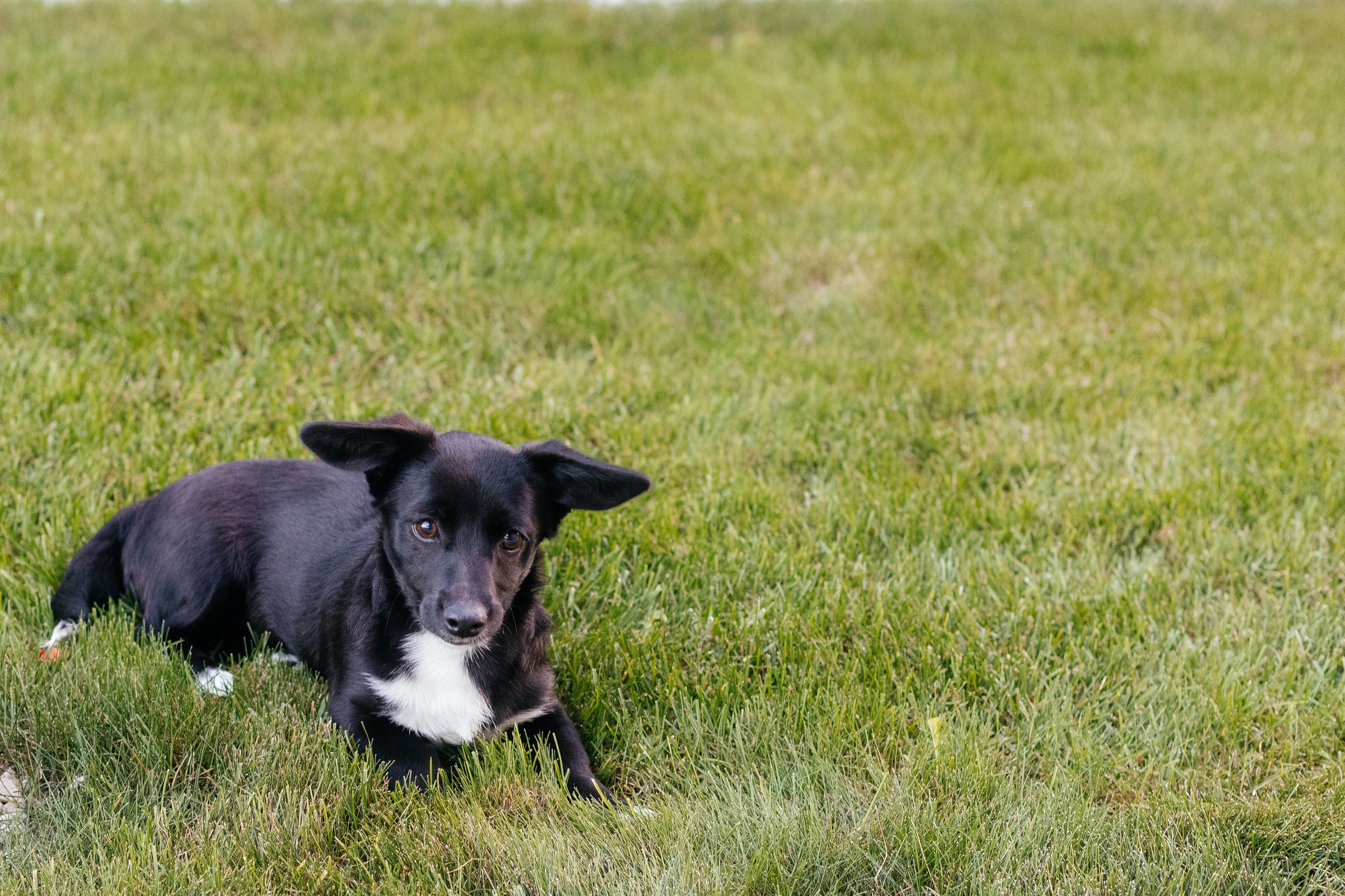 Семейный фотограф. Красильников Евгений — профессиональный фотограф в Ростове-на-Дону