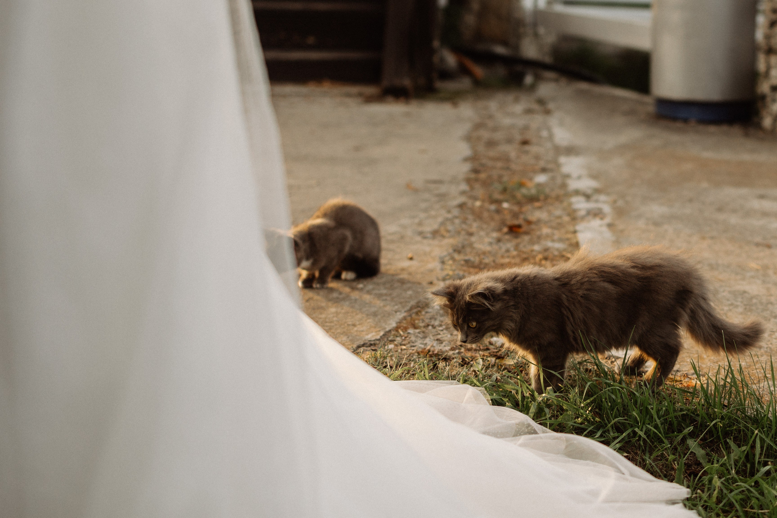 Антон и Ангелина. Свадебный фотограф Маргарита Глумскова