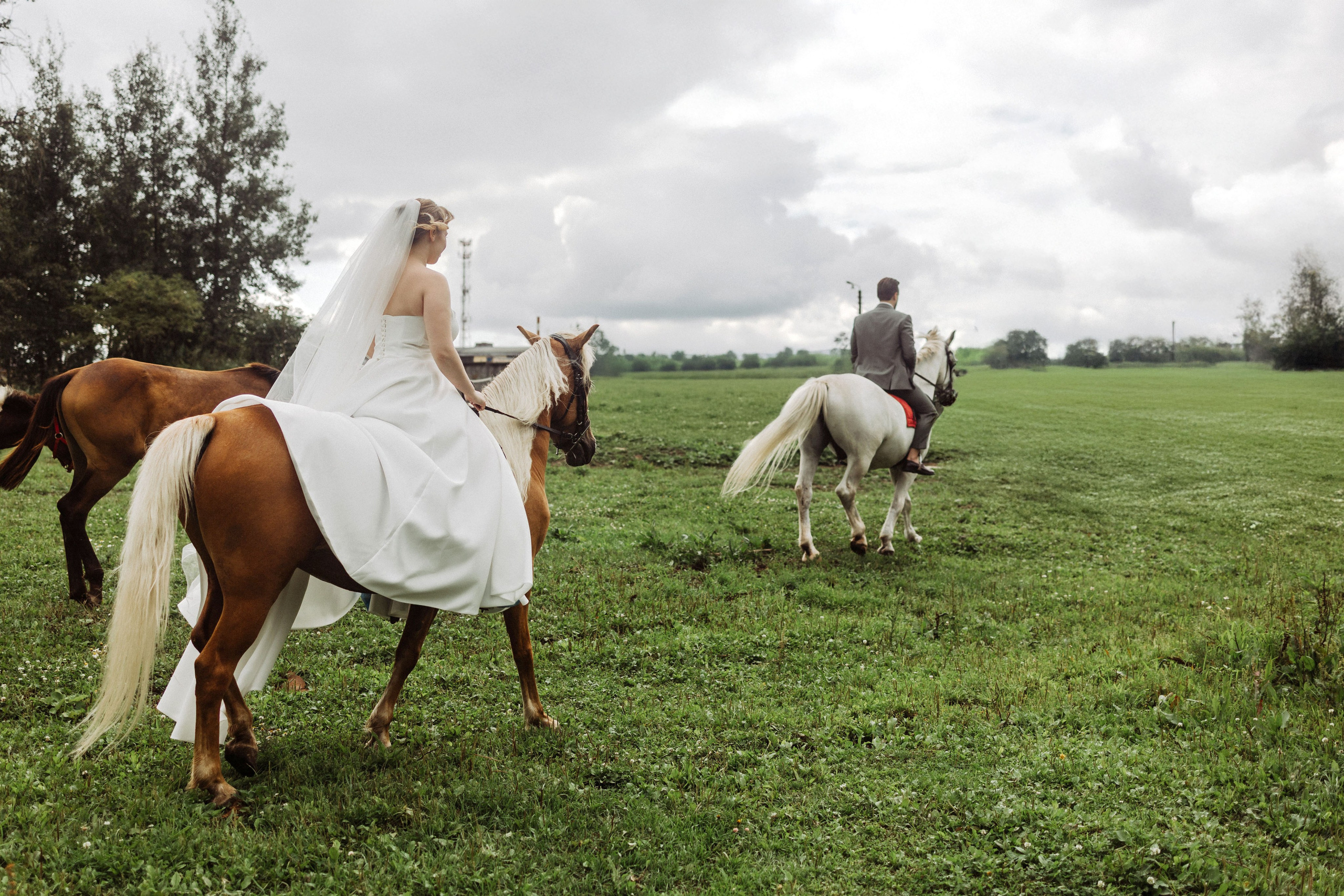 Максим и Анастасия. Свадебный фотограф Маргарита Глумскова