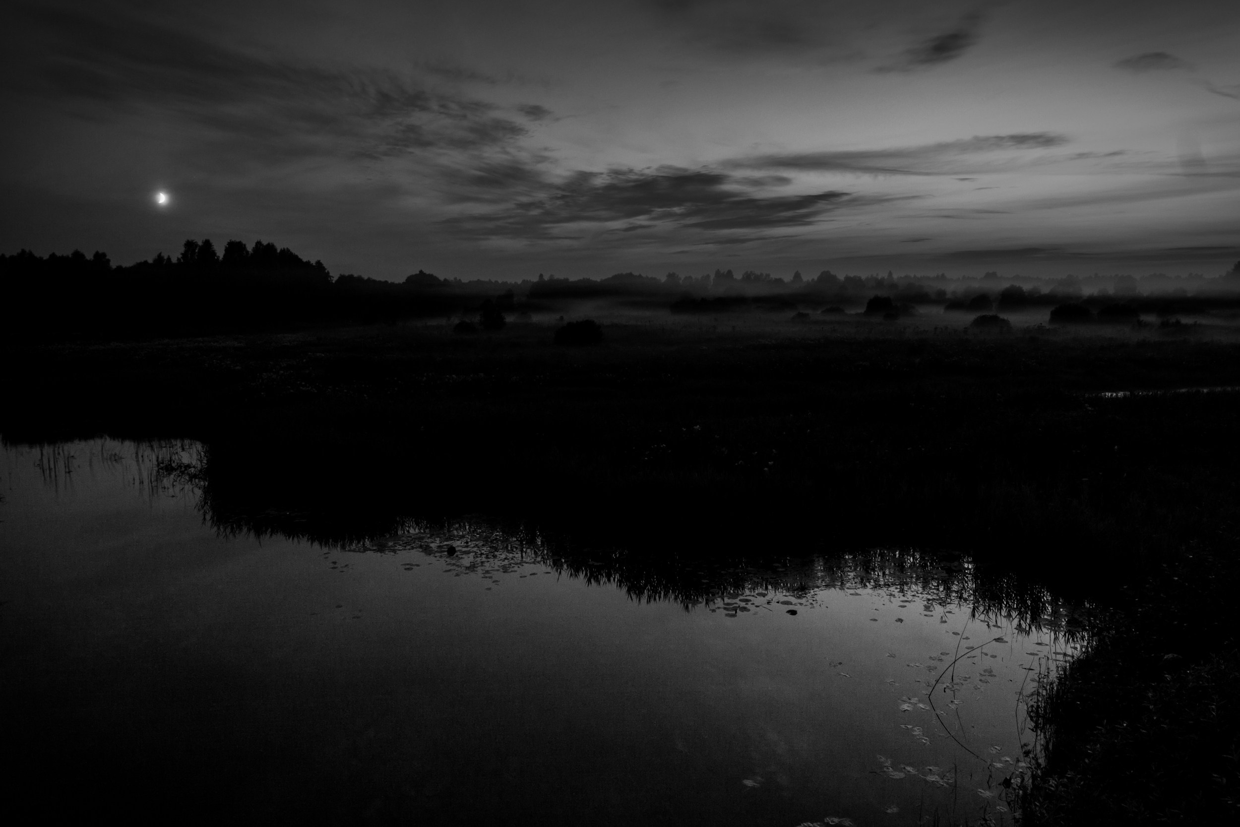 Творческое. Black-and-White. Фотограф Станислав Пихтелев (Москва) aka StanislavPi