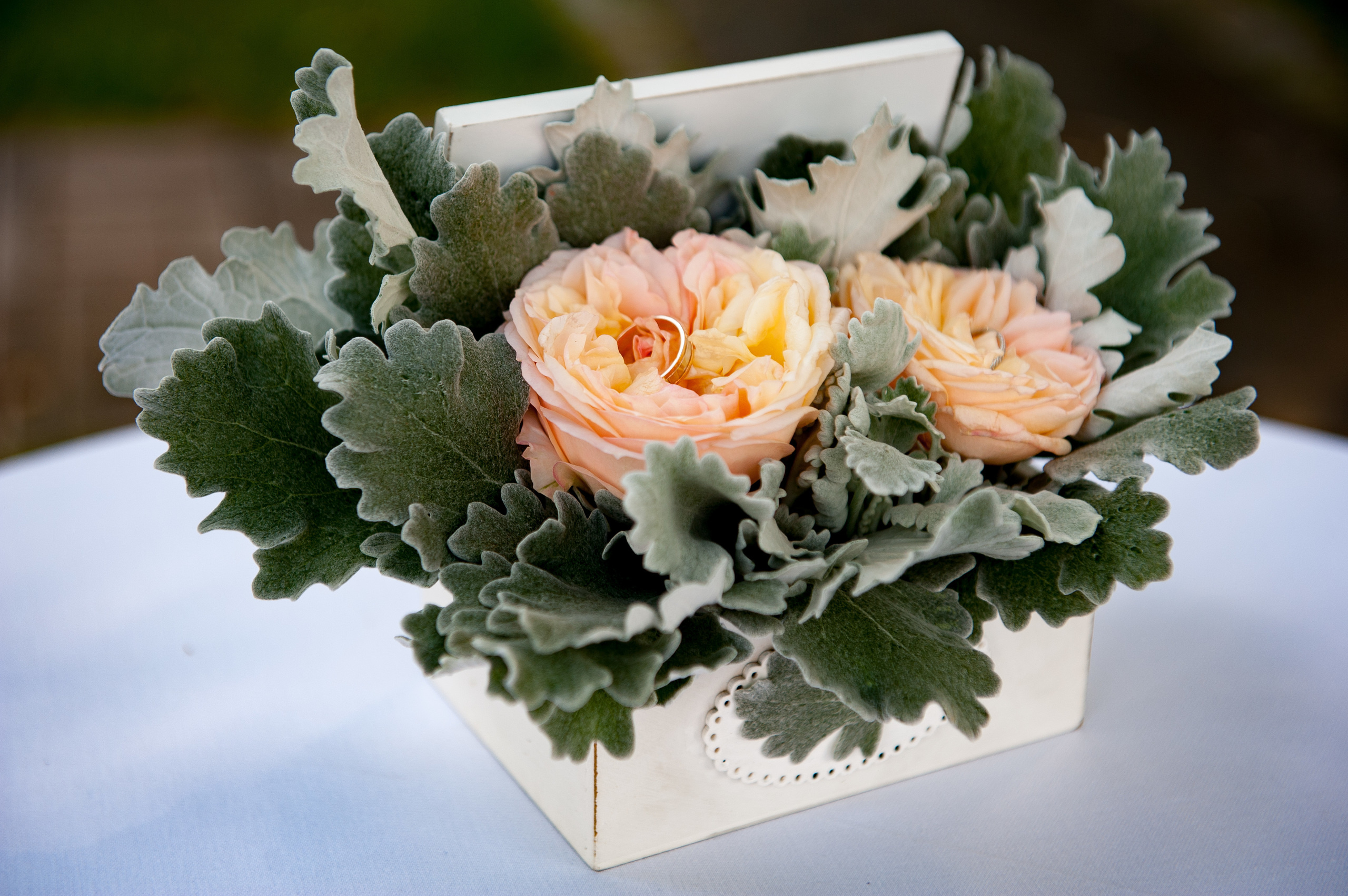 Сергей и Валерия. Свадебный фотограф Калининград - Александр Зубанов