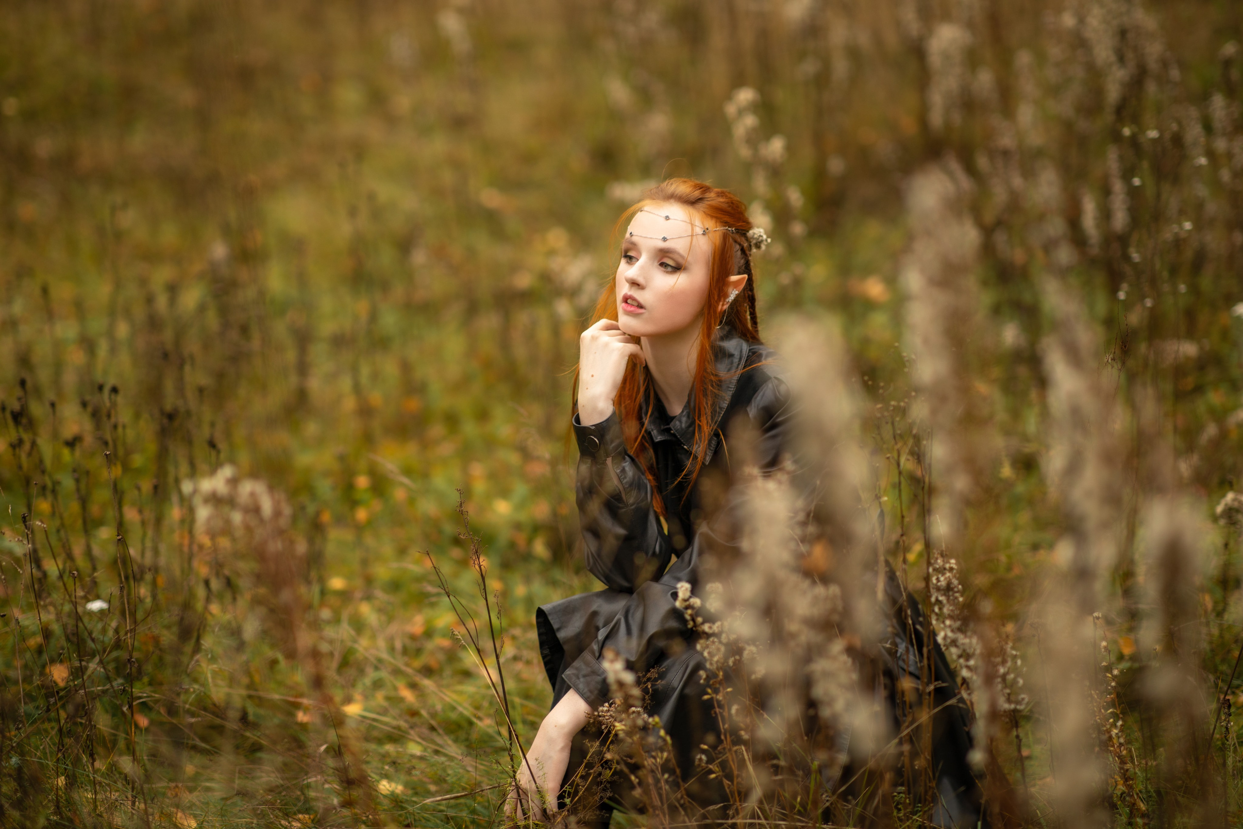 Волшебный лес