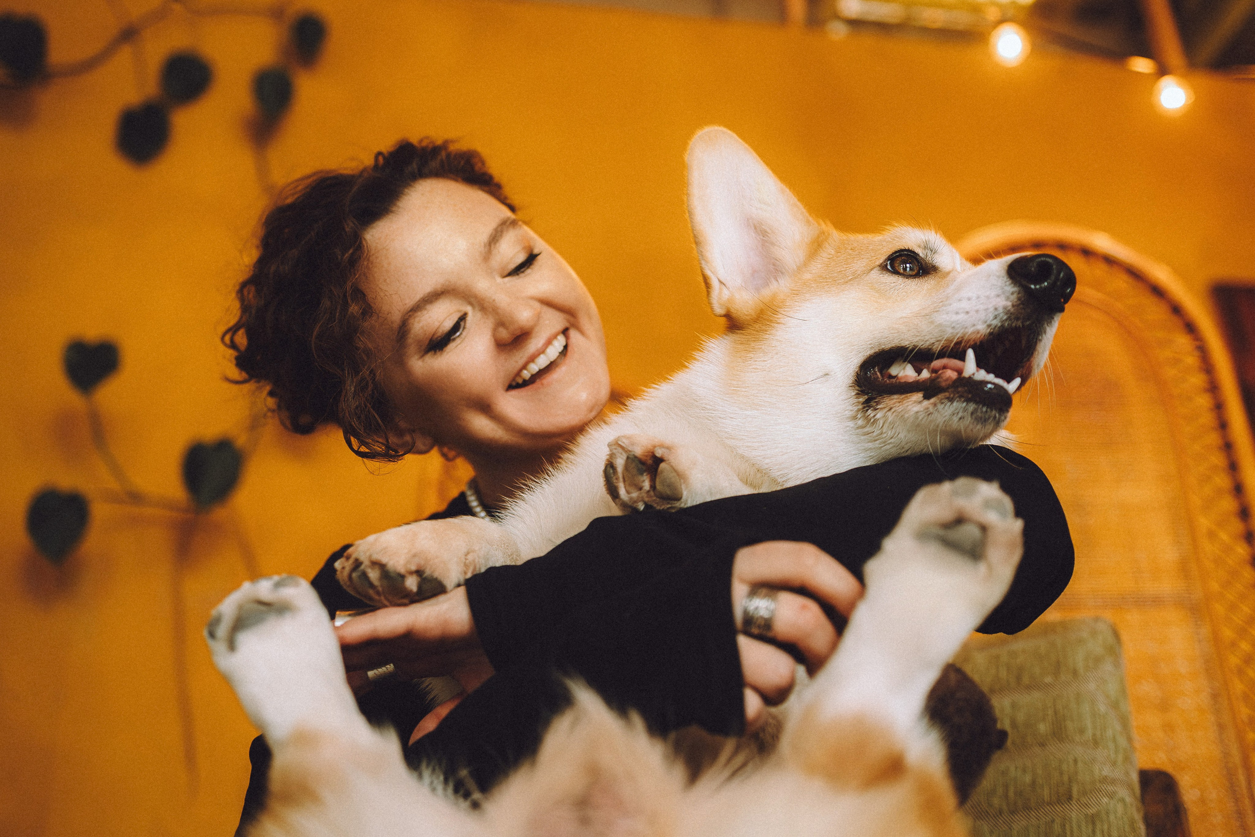 Наталья, Евгений и Мерлин
