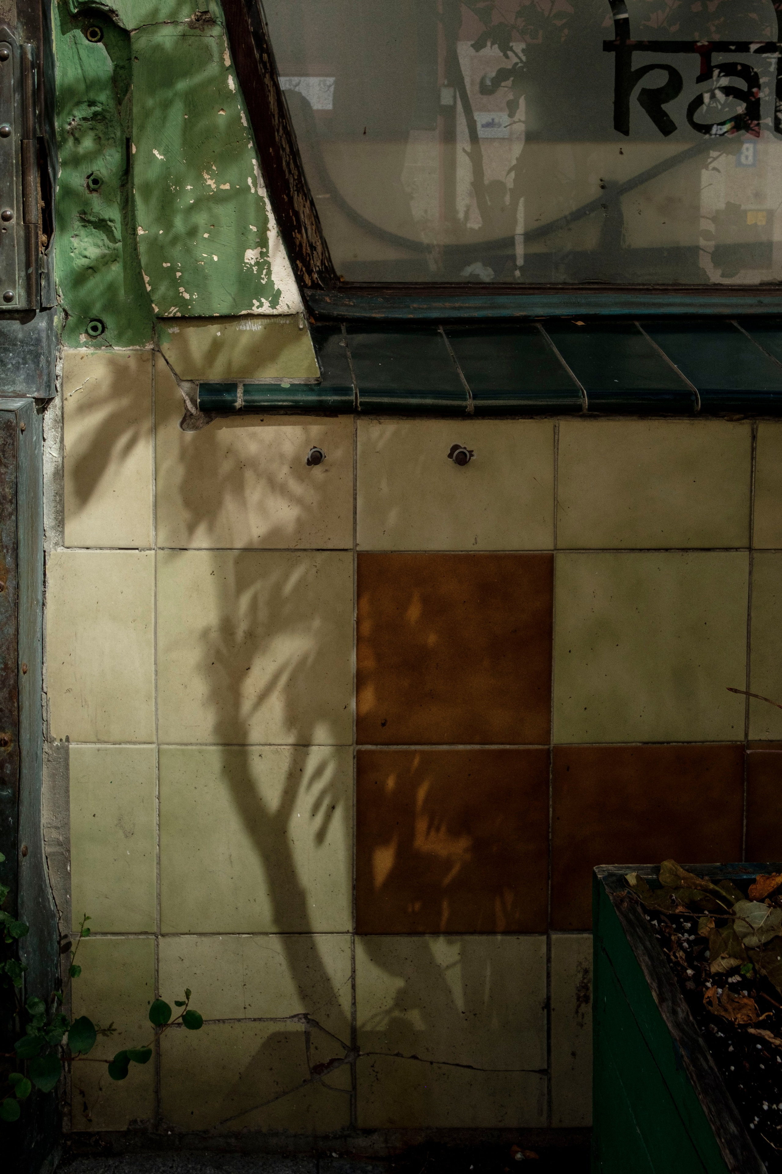 Simple. Photos. Photographer, Documentary and Art