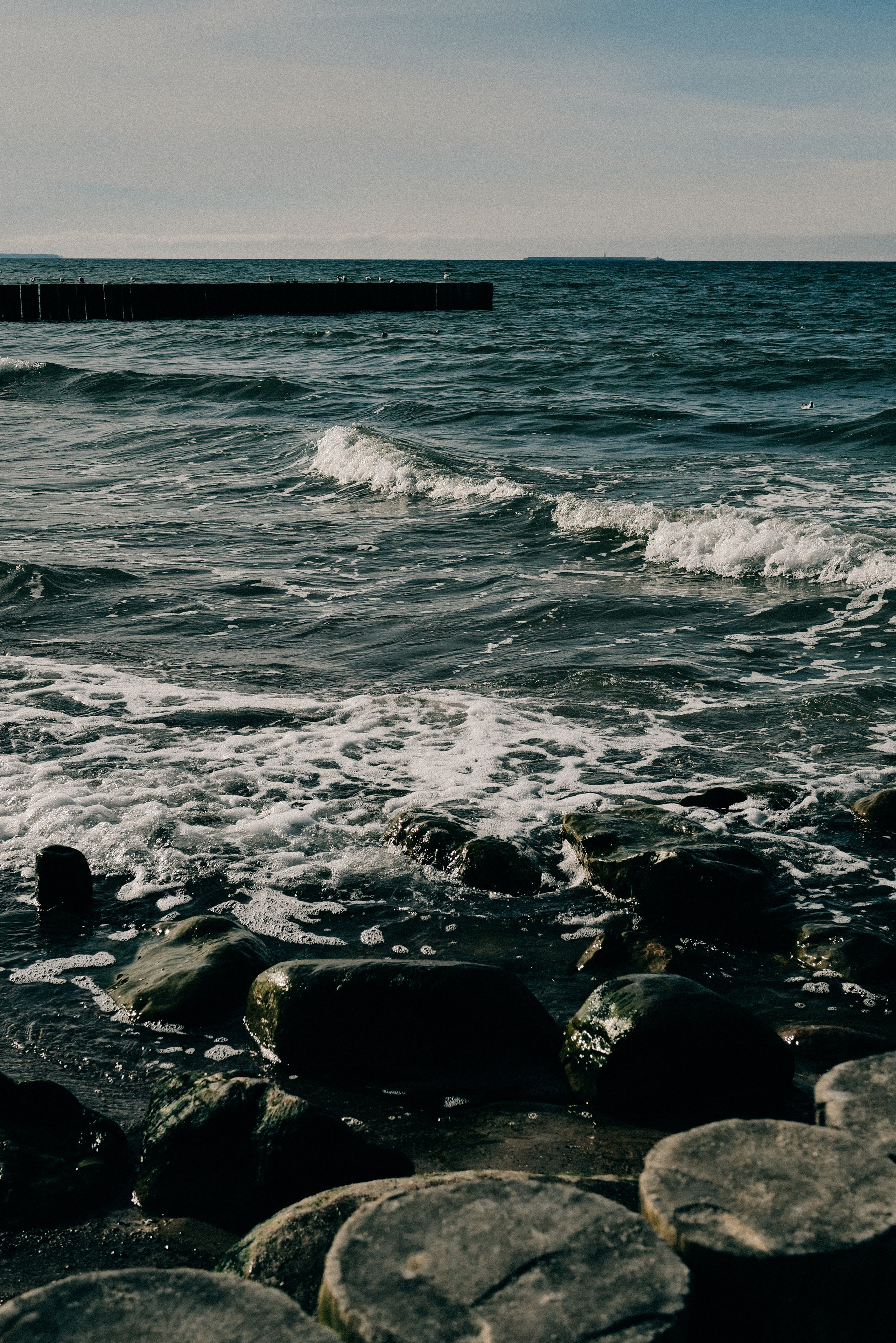 Zelenogradsk. Фотограф София Комкина