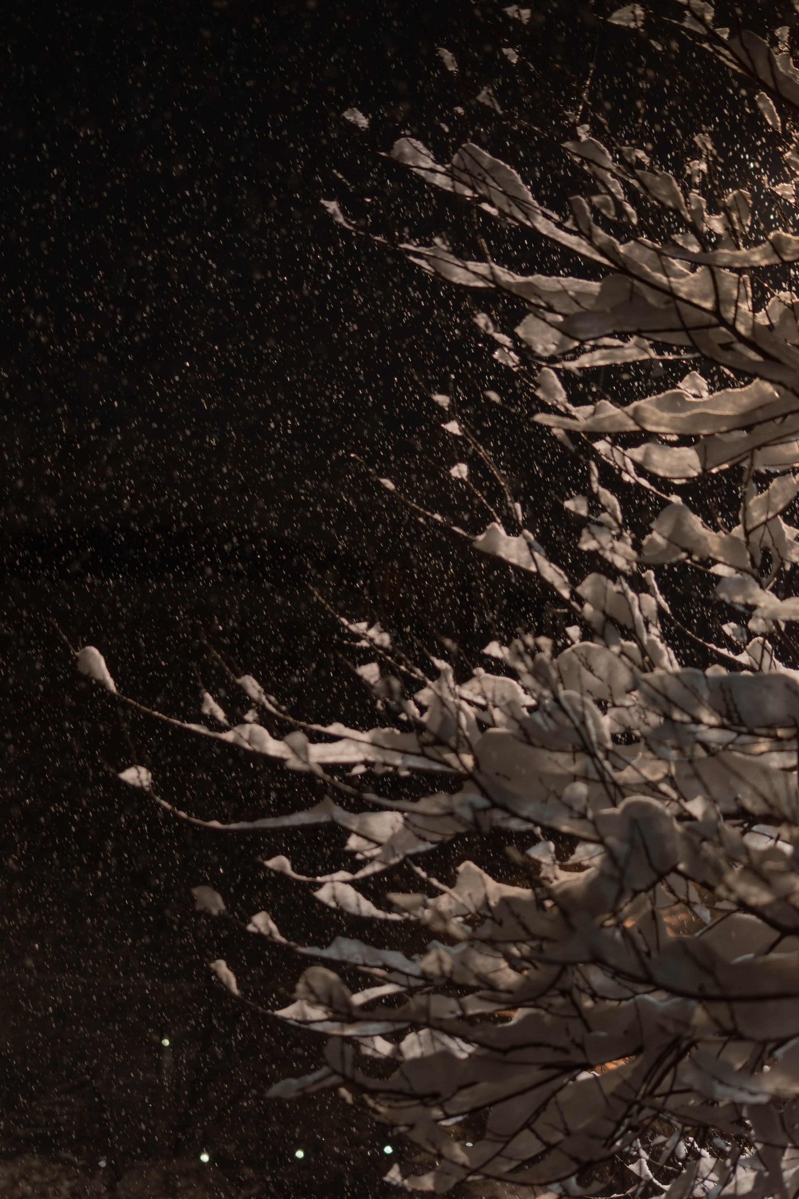 Визуальный дневник. Репортажный фотограф в Алматы Цой Сергей