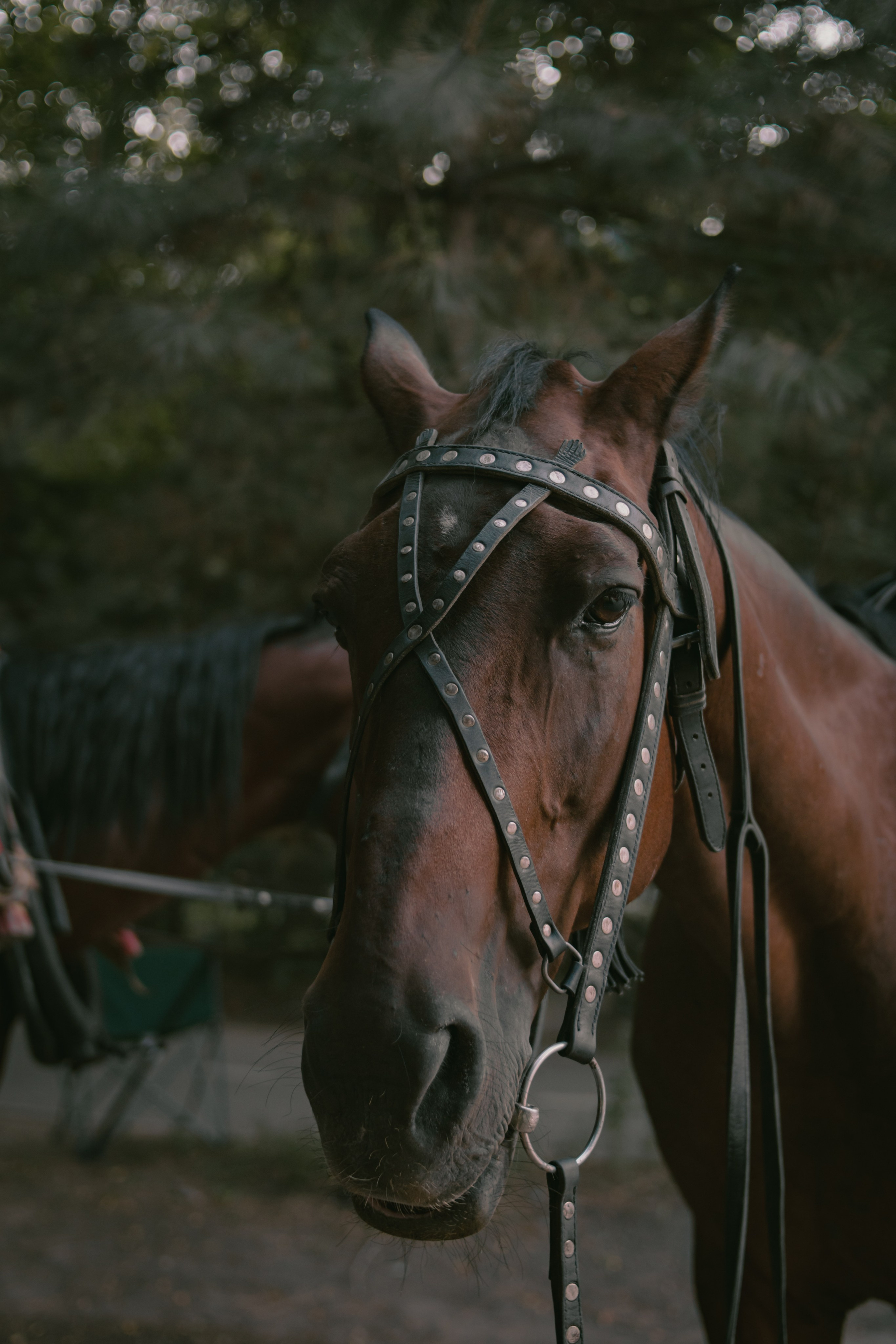Визуальный дневник. Репортажный фотограф в Алматы Цой Сергей