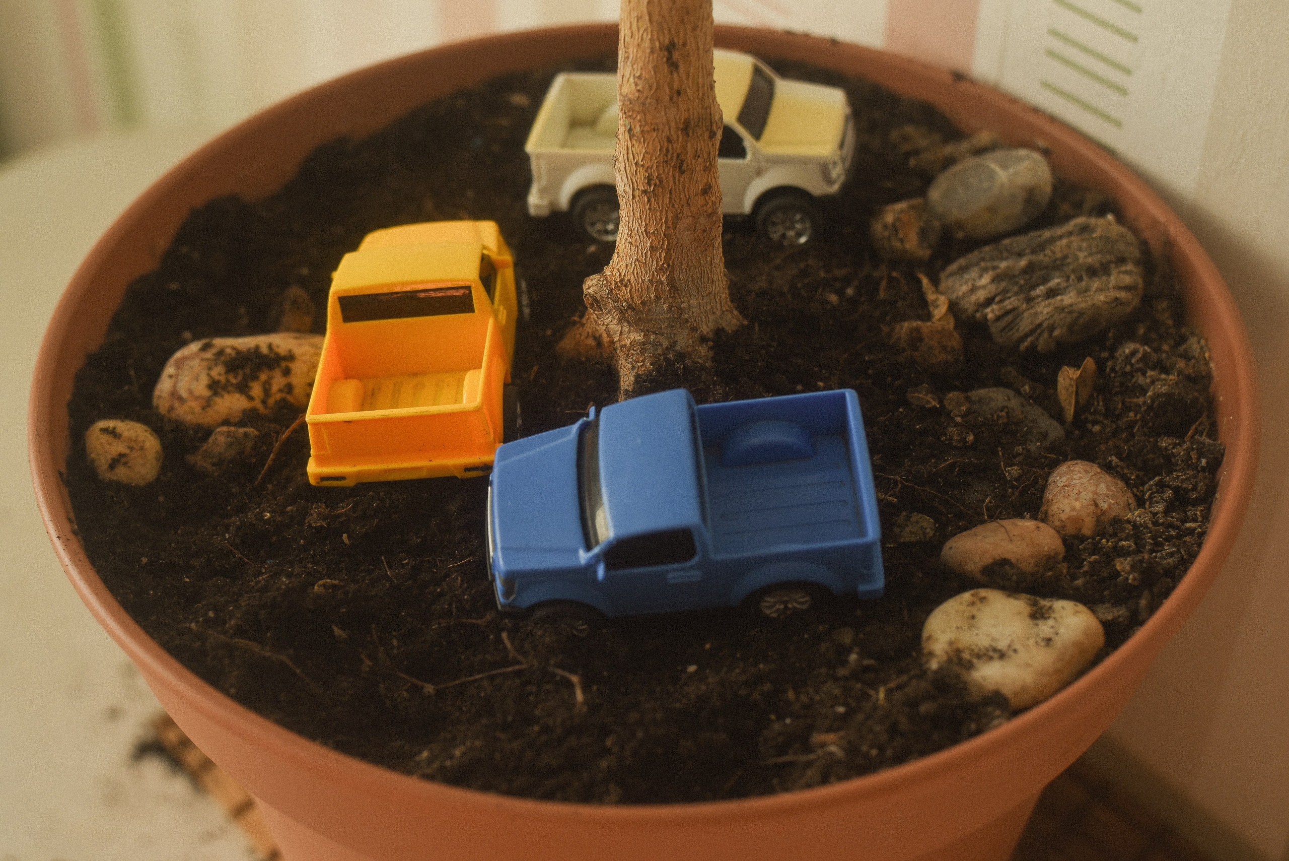 Квартира 99. Детский и семейный фотограф в Новосибирске Саша Дорошенко