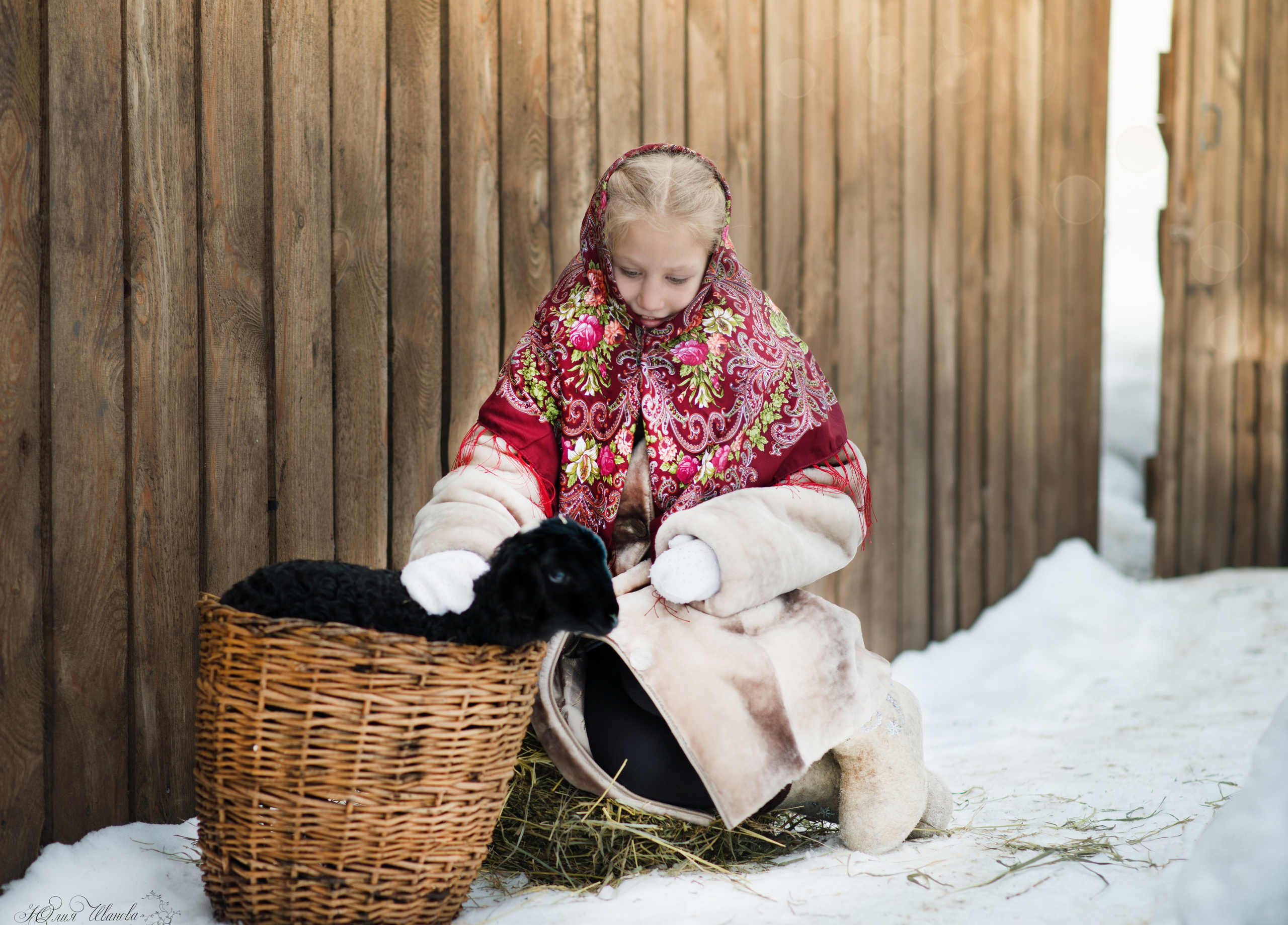Разные фотосъемки. Конный фотограф в Саратове Юлия Иванова