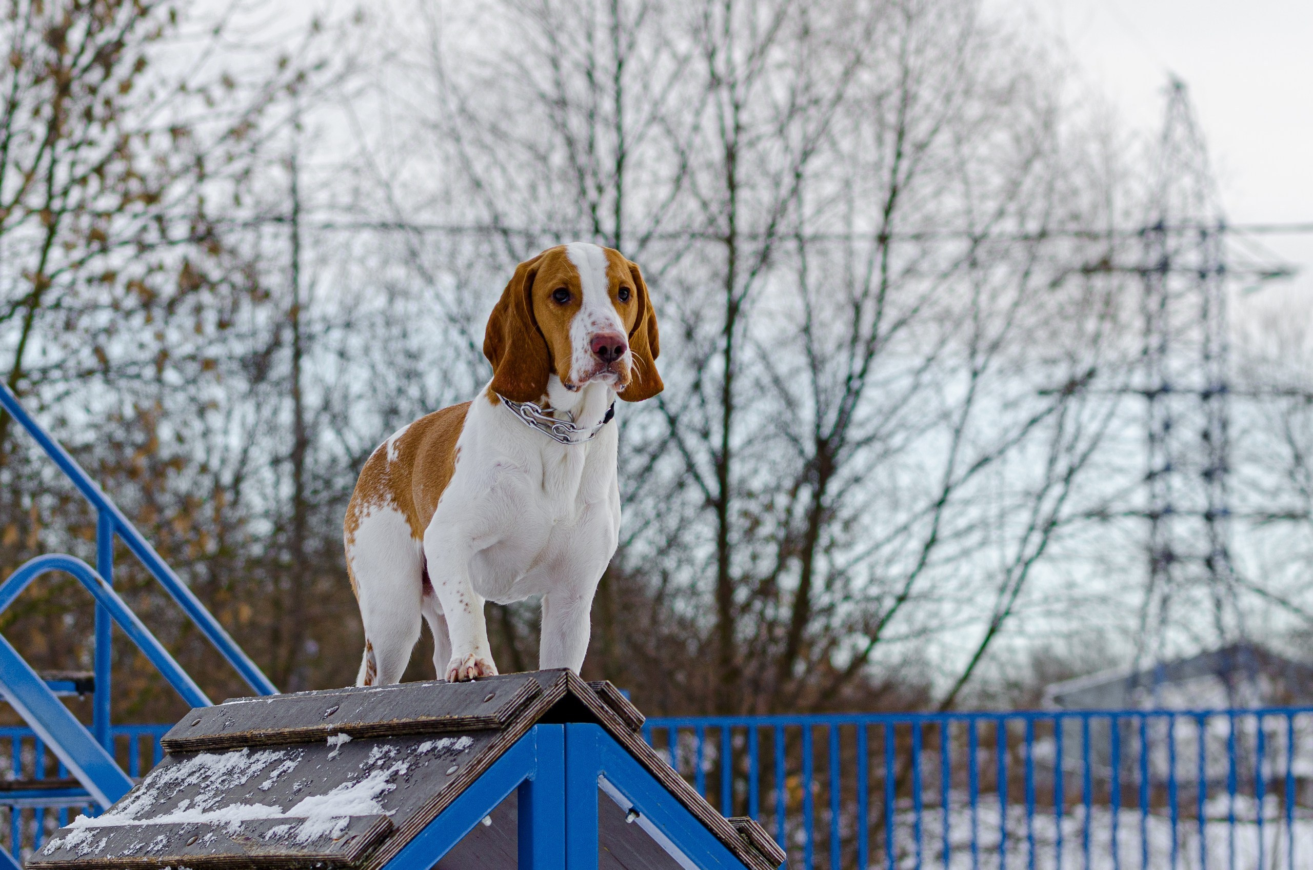 Отзывы. Индивидуальные, семейные, студийные съемки в Серпухове и за пределами