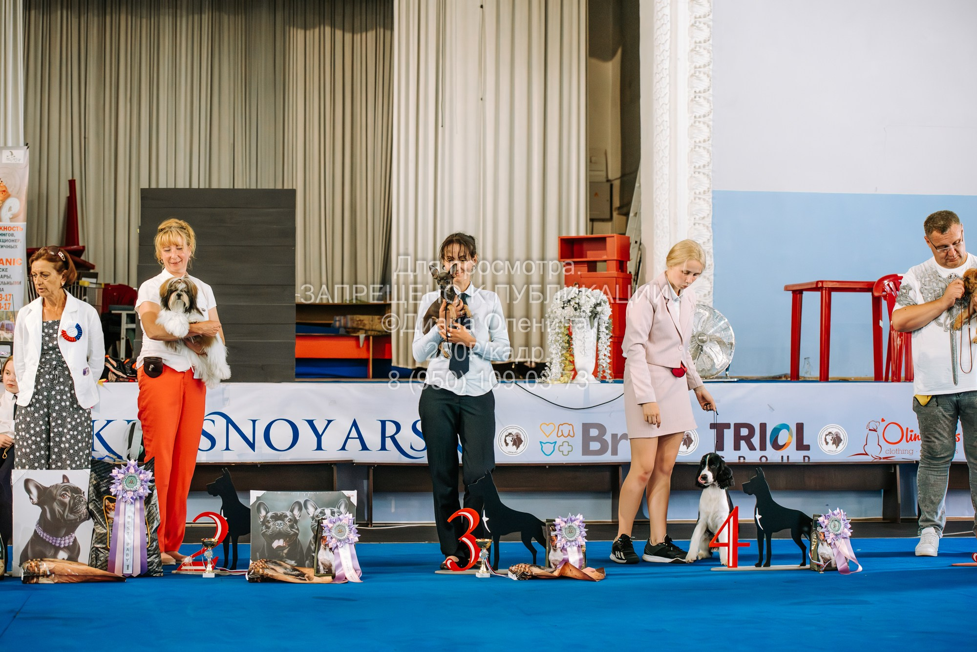 Национальная выставка собак всех пород ранга САС-IKU «Кубок Красноярск. Фотограф Диана Оленина Красноярск / Братск