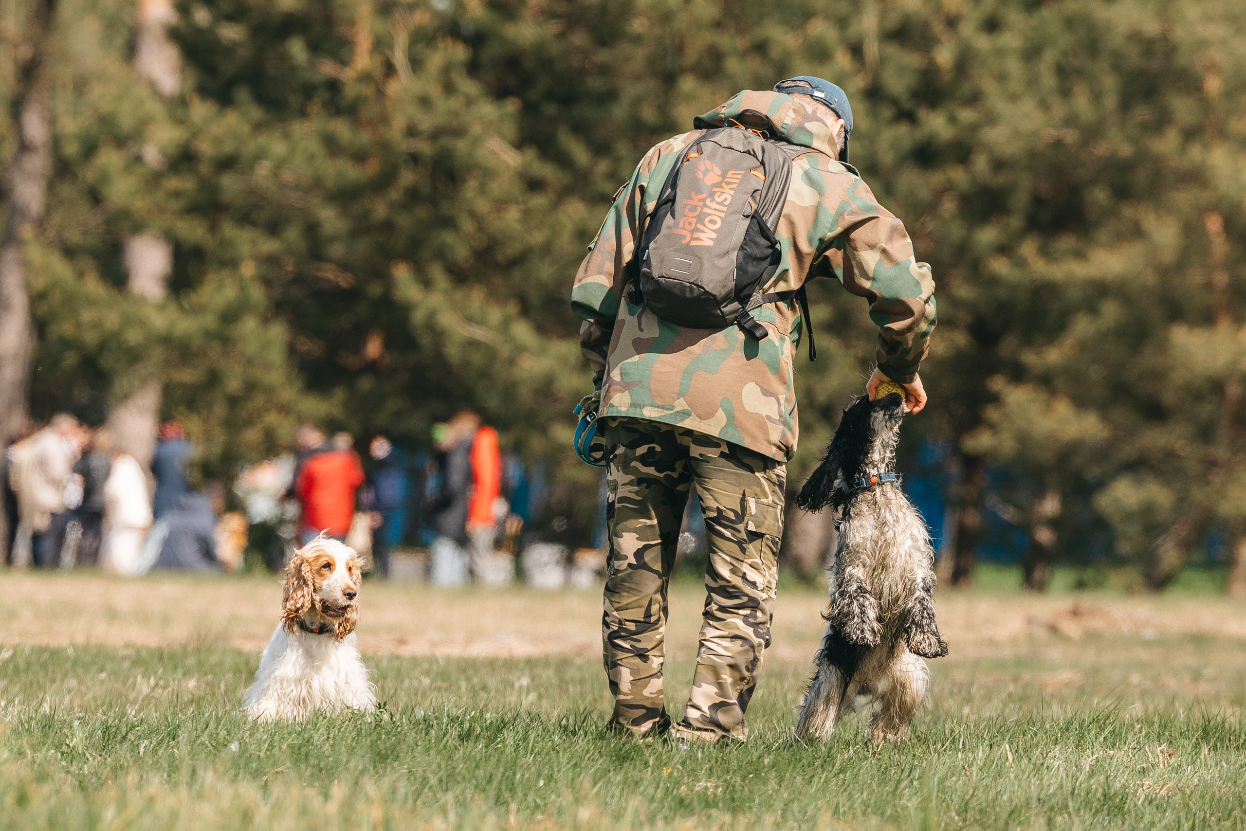 Спанимания. Фотограф анималист Осипчикова Мария