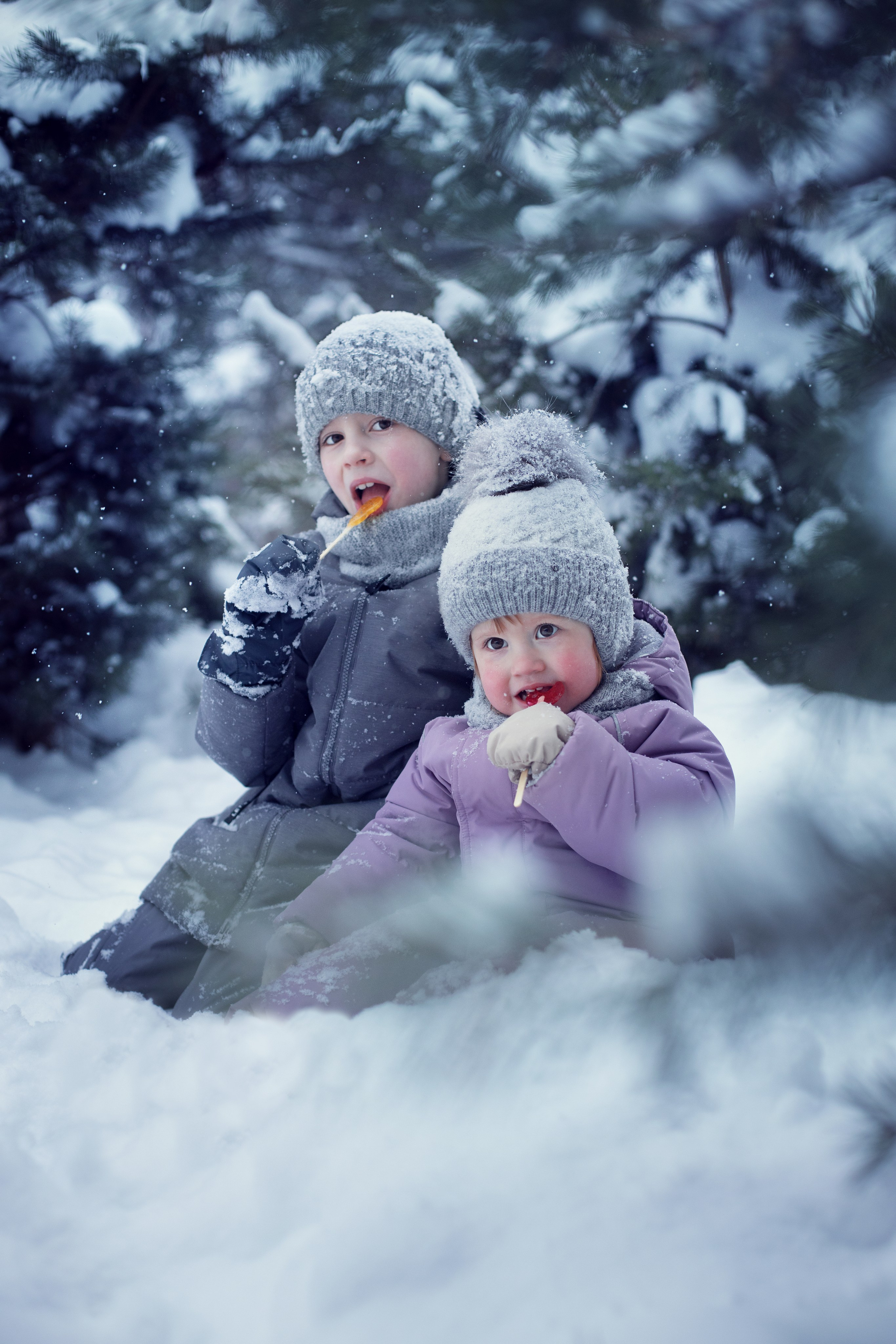 Девочка и мальчик сидят в снегу среди маленьких сосен и едят леденцы