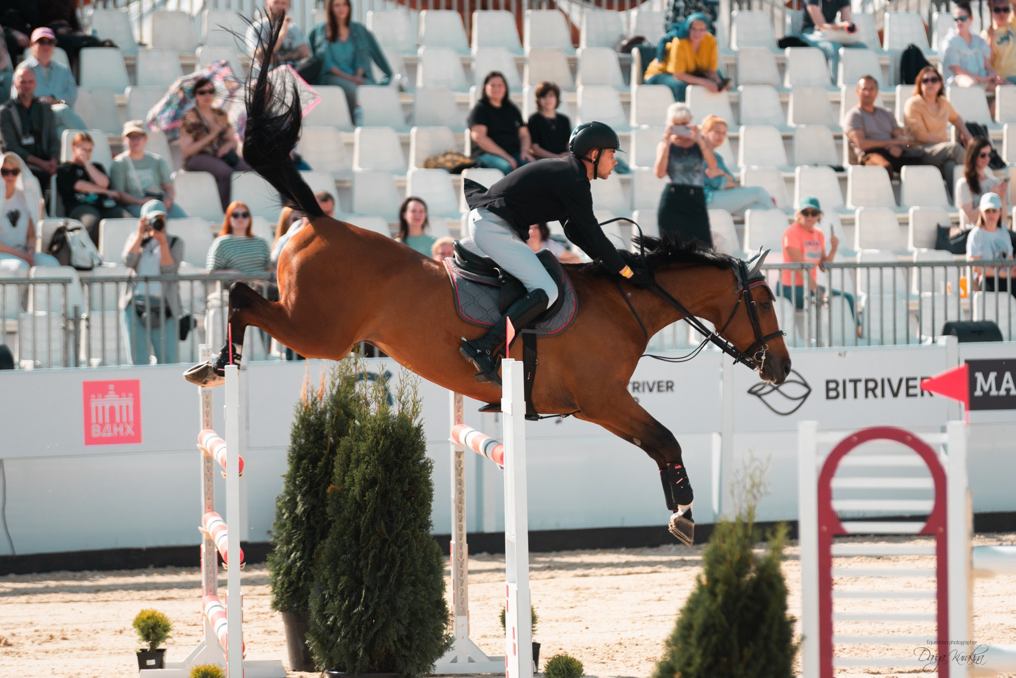 BITRIVER CUP 2023. Конный фотограф Куракина Дарья • Фотосессии с лошадьми