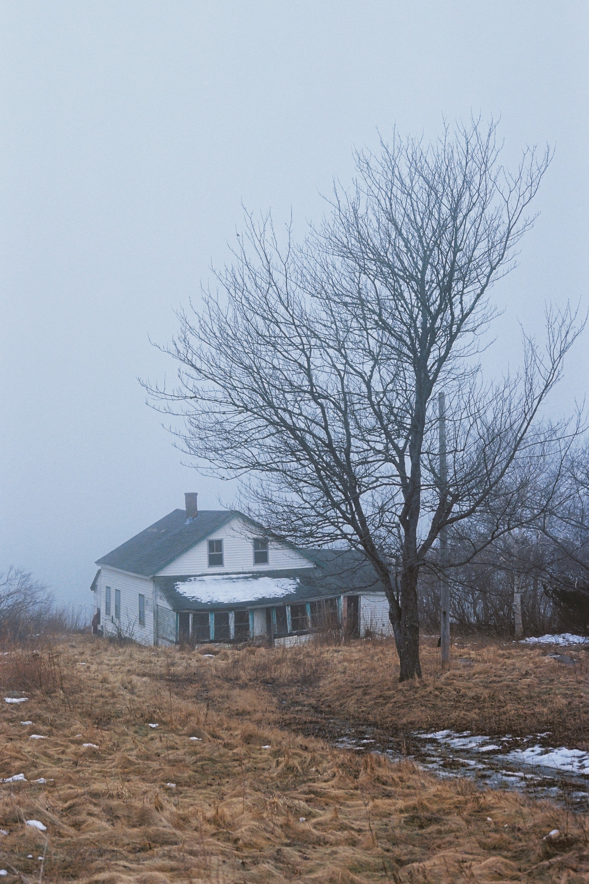 постапокалиптичный вид на заброшенный дом в тумане