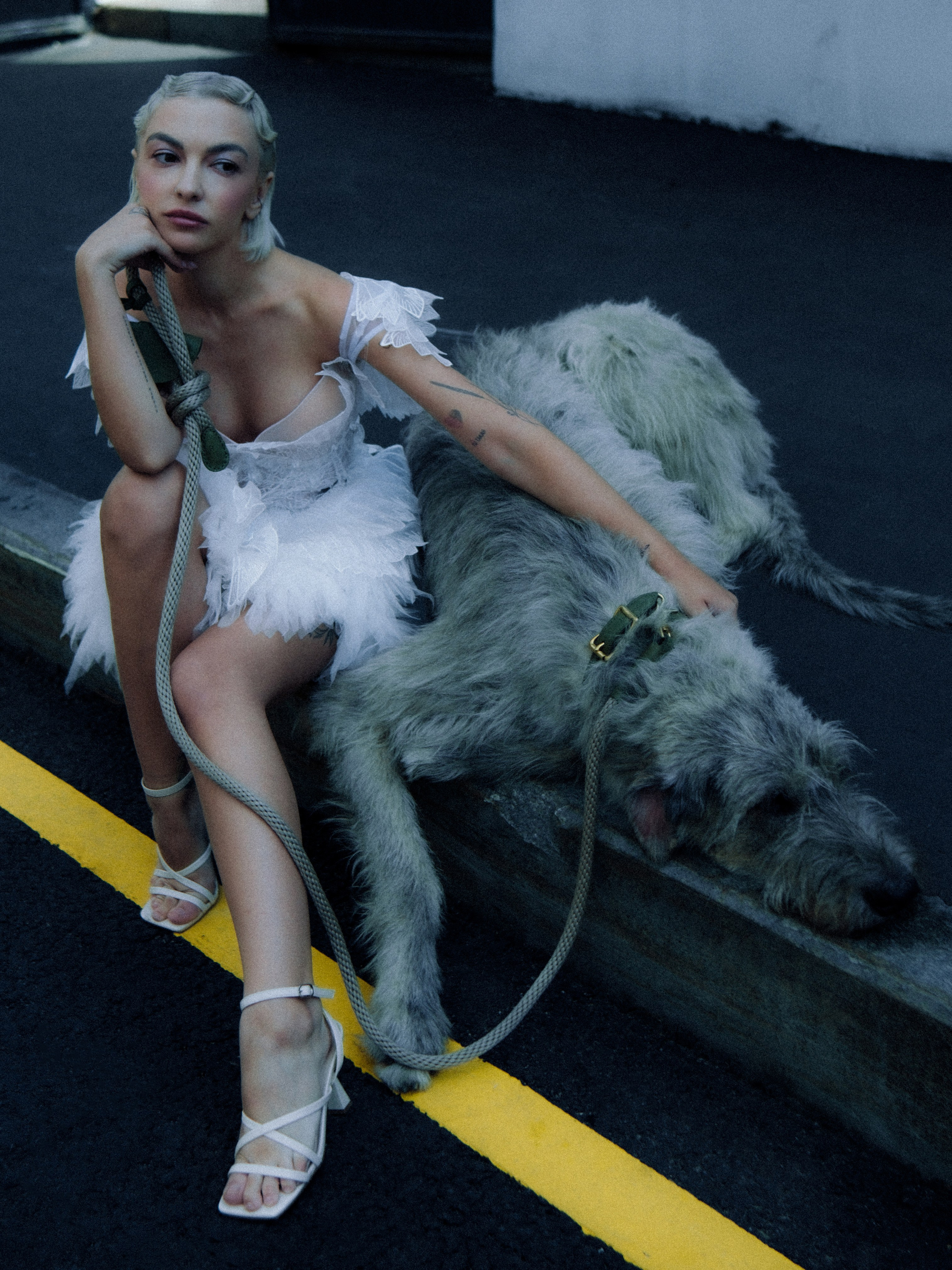 Dogbar. Dariaegudina.ru