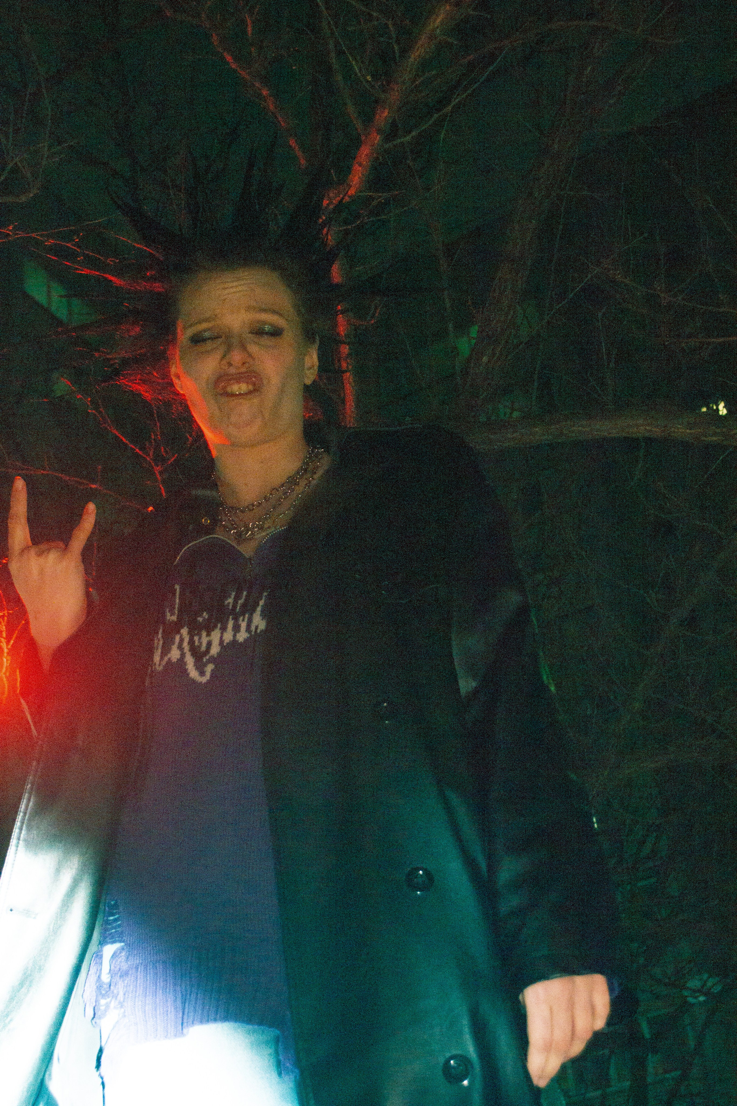 Гошок жив?. Костенко Анна pdie