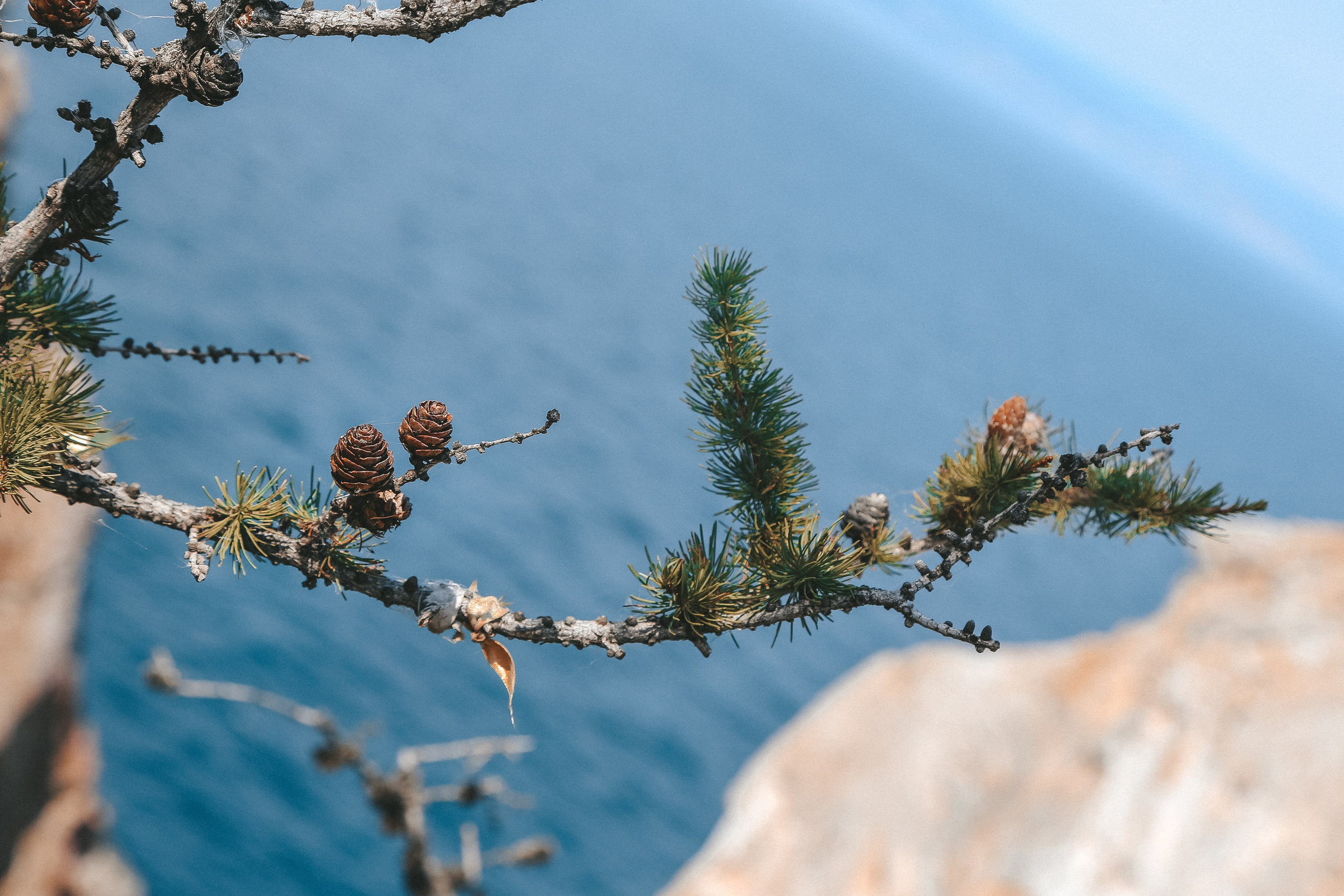 Байкал летний: легенды и святыни. Дарья Письменюк / Darya Leitstern — фотограф, музыкант, журналист, путешественник