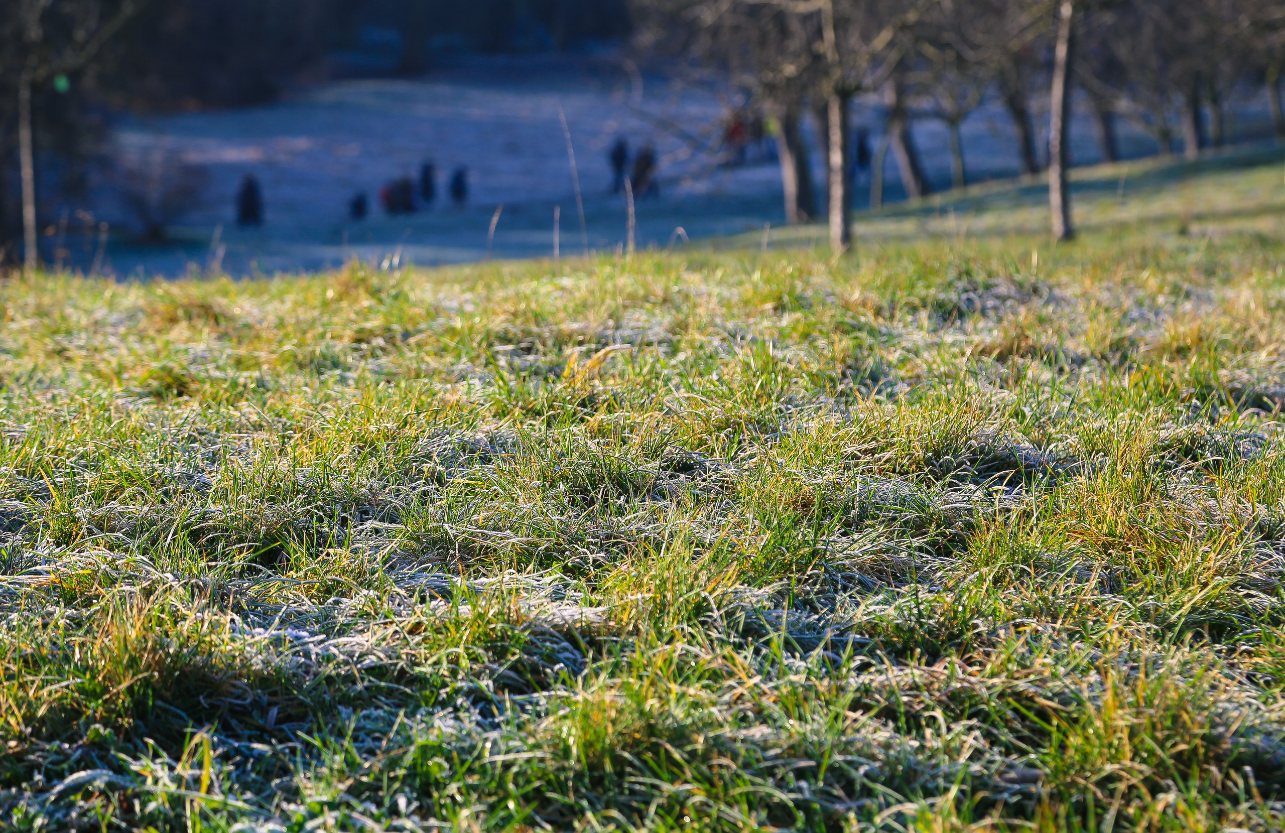 Чехия: Прага. Дарья Письменюк / Darya Leitstern — фотограф, музыкант, журналист, путешественник