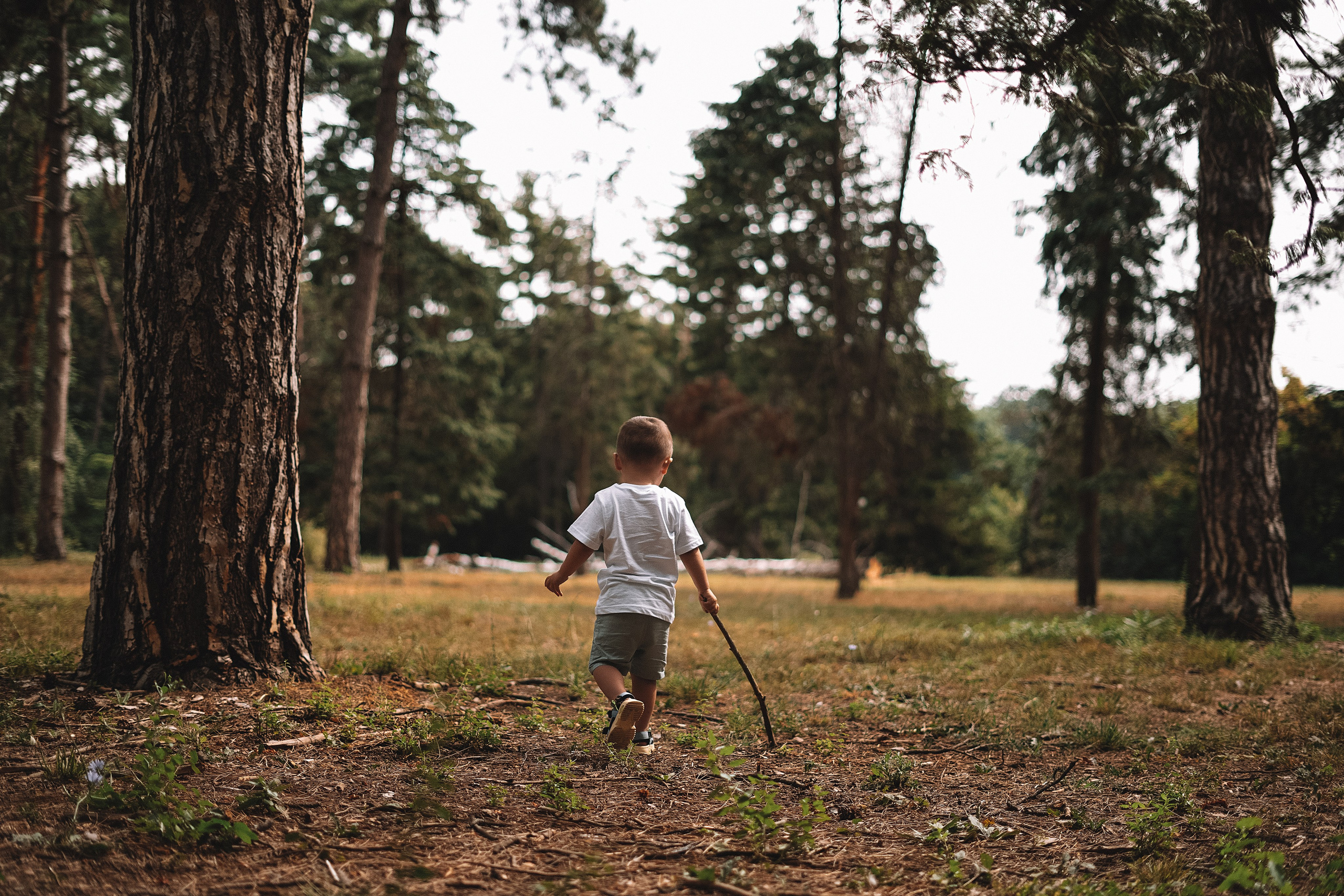 Дендрарий. Свадебный и семейный фотограф/видеограф в Краснодаре Наталья Осинская