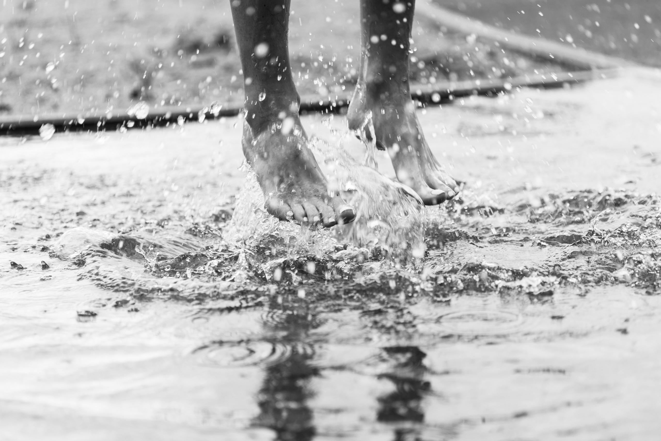 Добродеева Алла фотограф, Москва