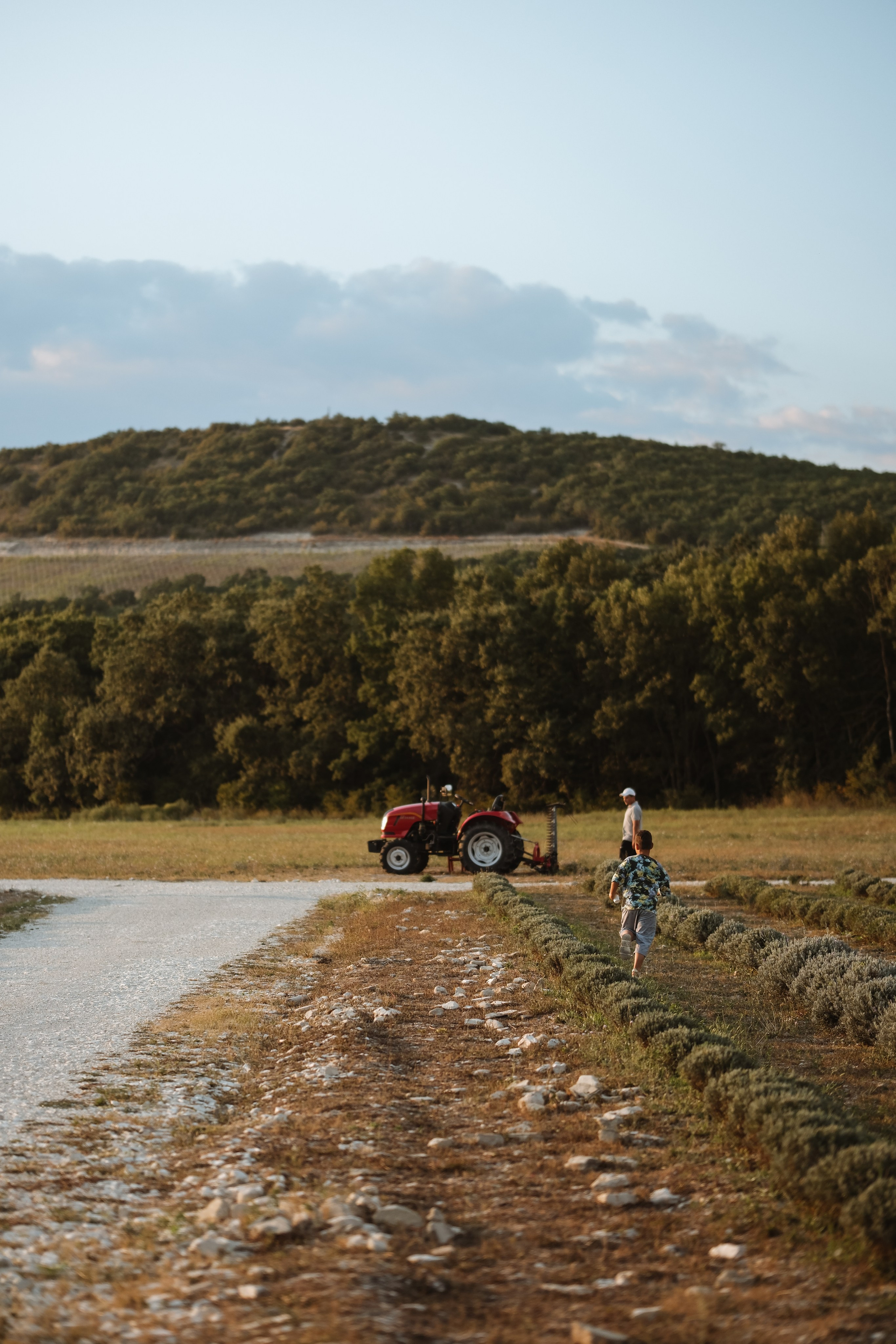 Мишель!. Фотограф новорожденных в Брянске Анжелика Прохоренкова