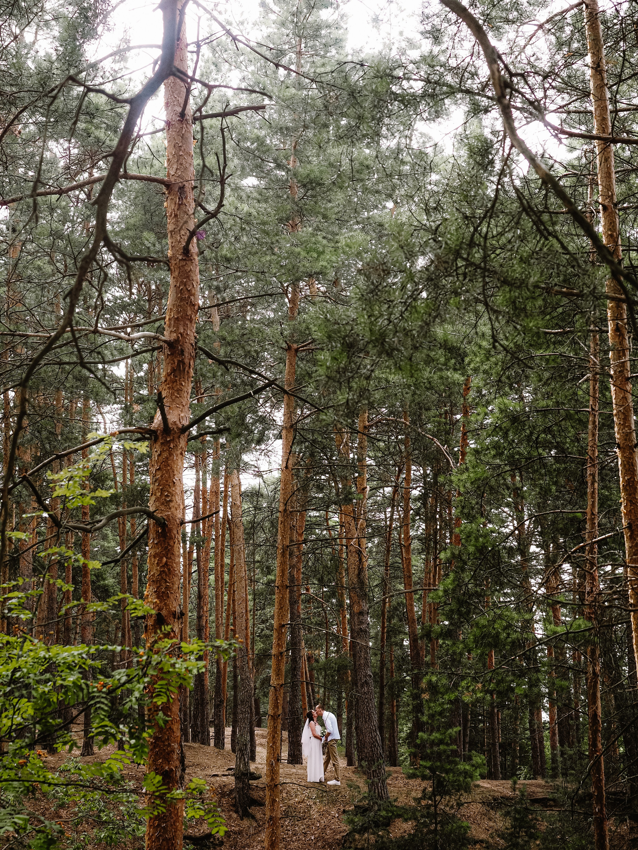 Даша и Максим. Фотограф Рязань. Семейный Свадебный фотограф
