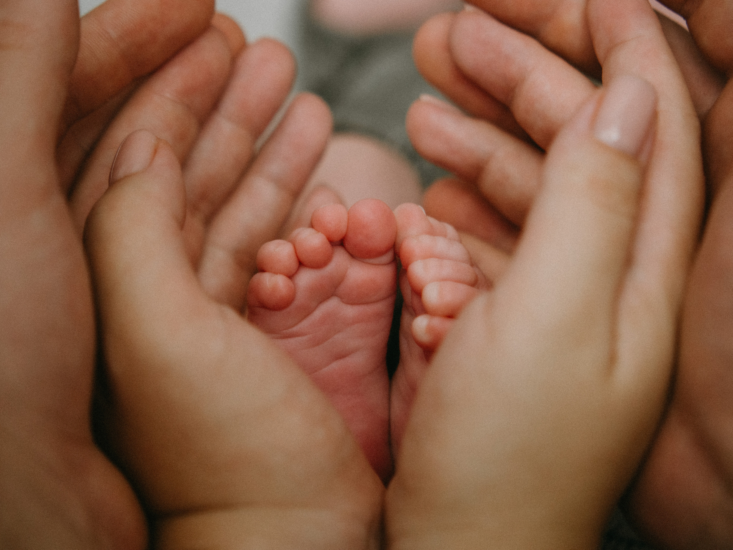 Семья. SHILOVA PHOTO. Шилова Екатерина. Фотограф. Москва