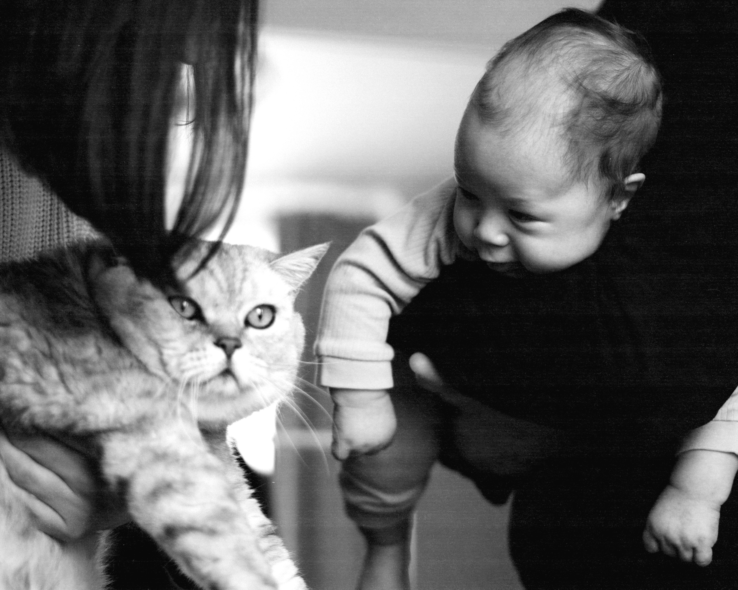 Fedya. SHILOVA PHOTO. Шилова Екатерина. Фотограф. Москва