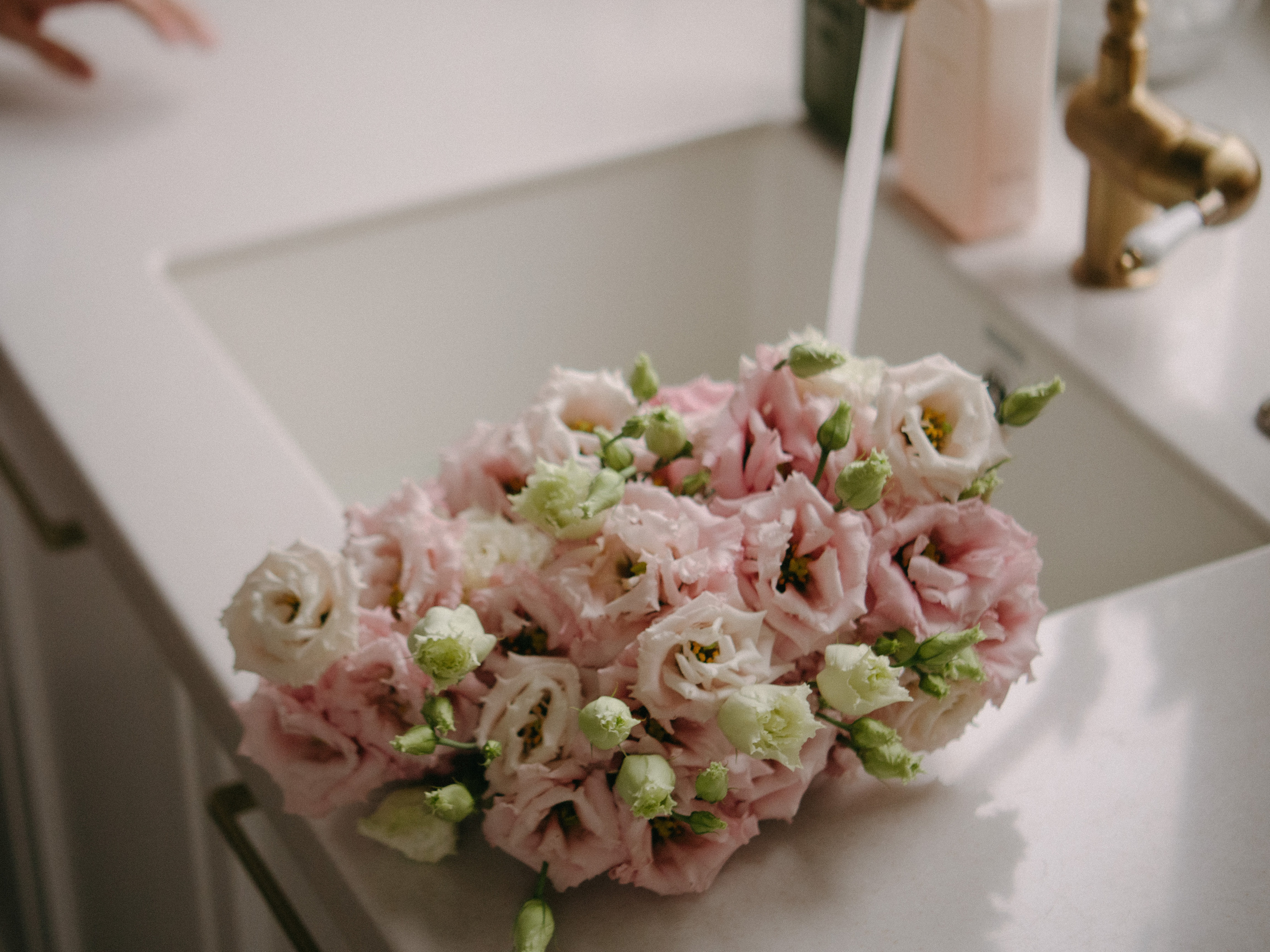 A+G. SHILOVA PHOTO. Шилова Екатерина. Фотограф. Москва