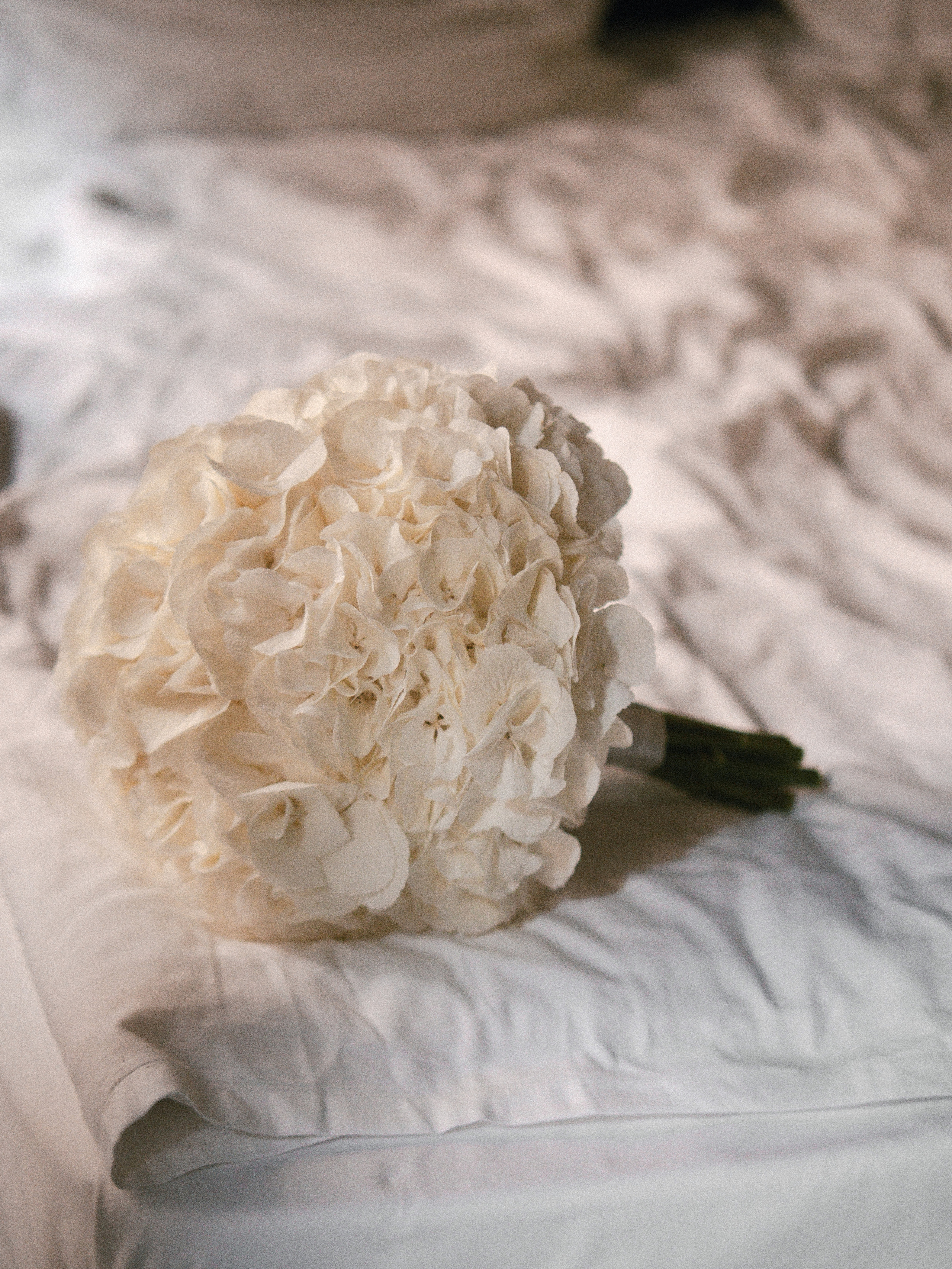 Diana+Alexandr. SHILOVA PHOTO. Шилова Екатерина. Фотограф. Москва